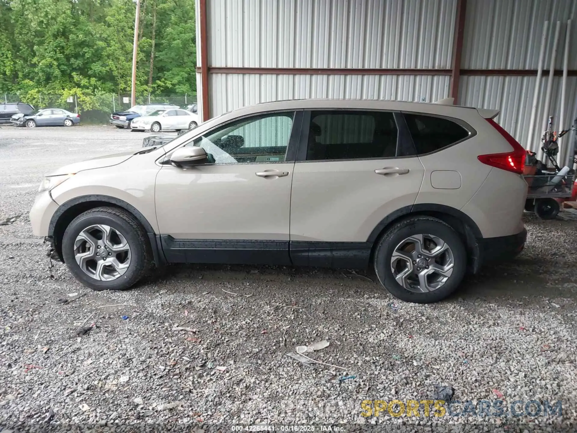 14 Photograph of a damaged car 2HKRW2H58KH601390 HONDA CR-V 2019