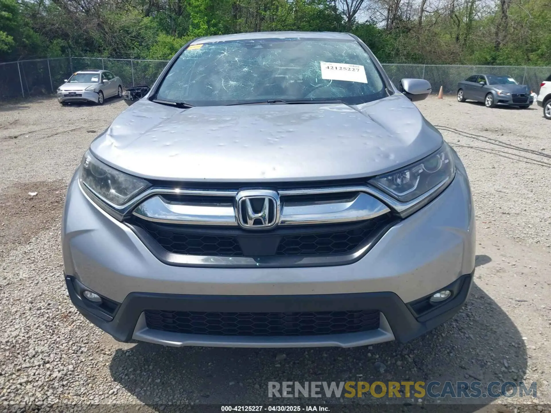 13 Photograph of a damaged car 2HKRW2H59KH665390 HONDA CR-V 2019