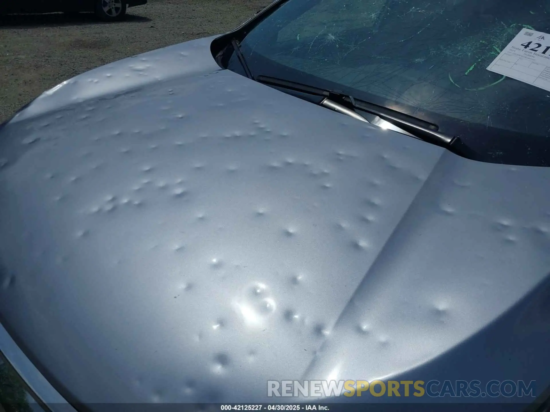 6 Photograph of a damaged car 2HKRW2H59KH665390 HONDA CR-V 2019