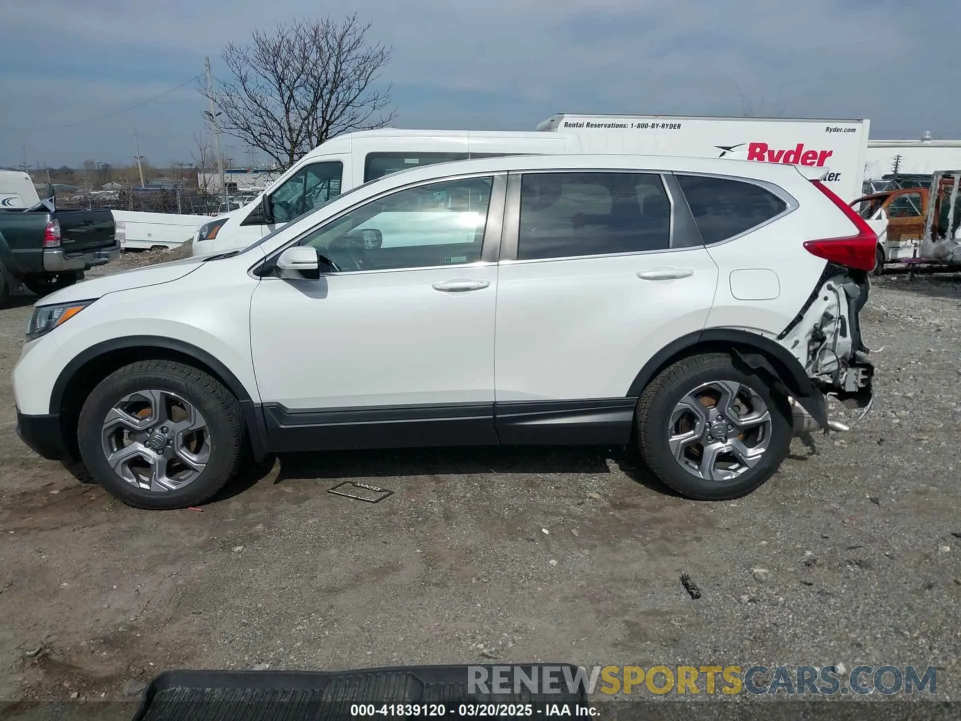 14 Photograph of a damaged car 2HKRW2H80KH612359 HONDA CR-V 2019