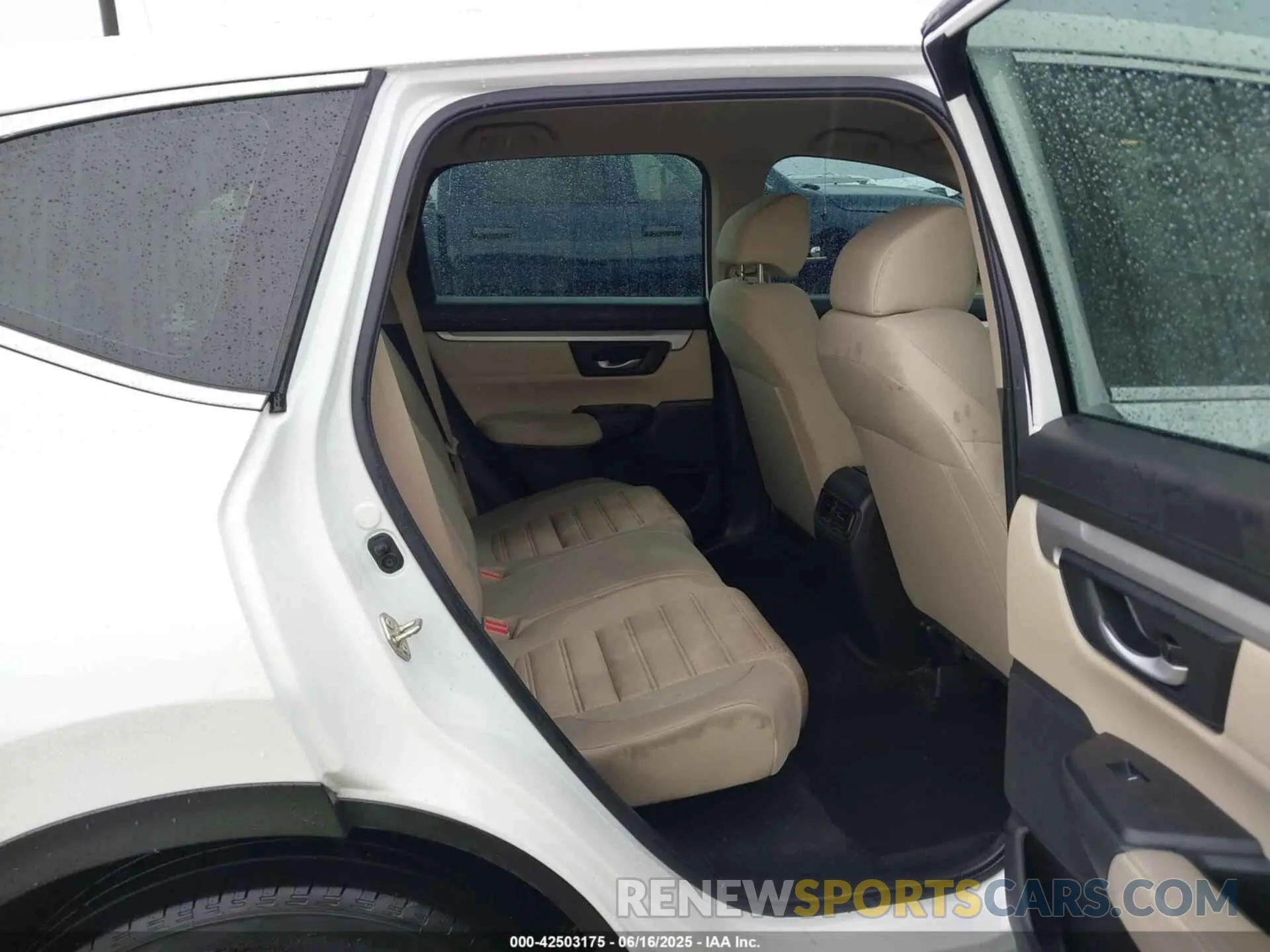 8 Photograph of a damaged car 2HKRW5H32KH419829 HONDA CR-V 2019