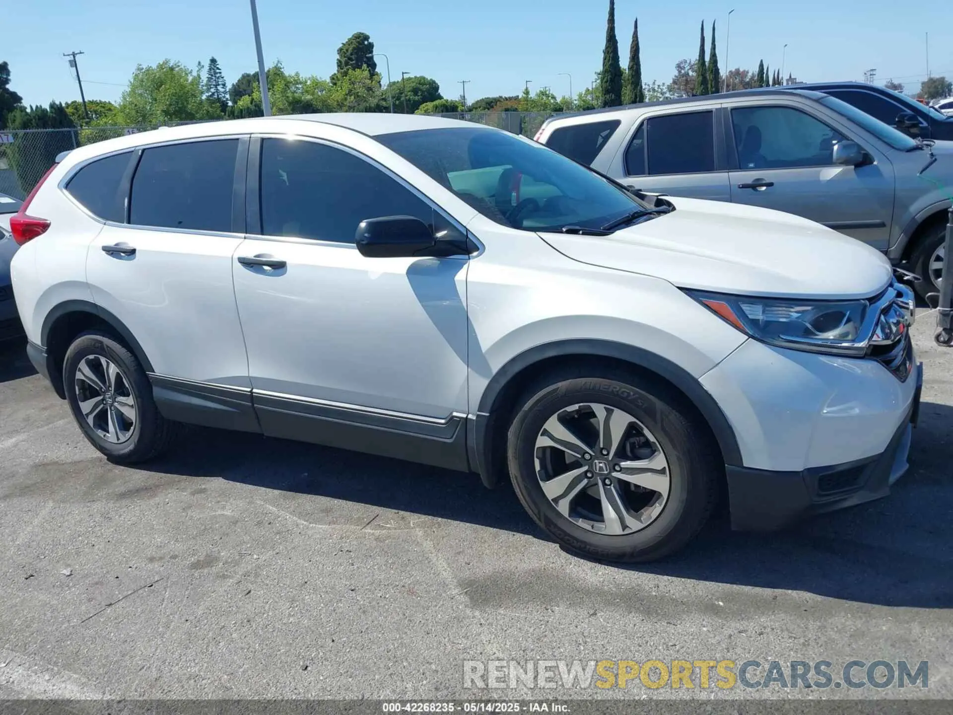 13 Фотография поврежденного автомобиля 2HKRW5H34KH405284 HONDA CR-V 2019