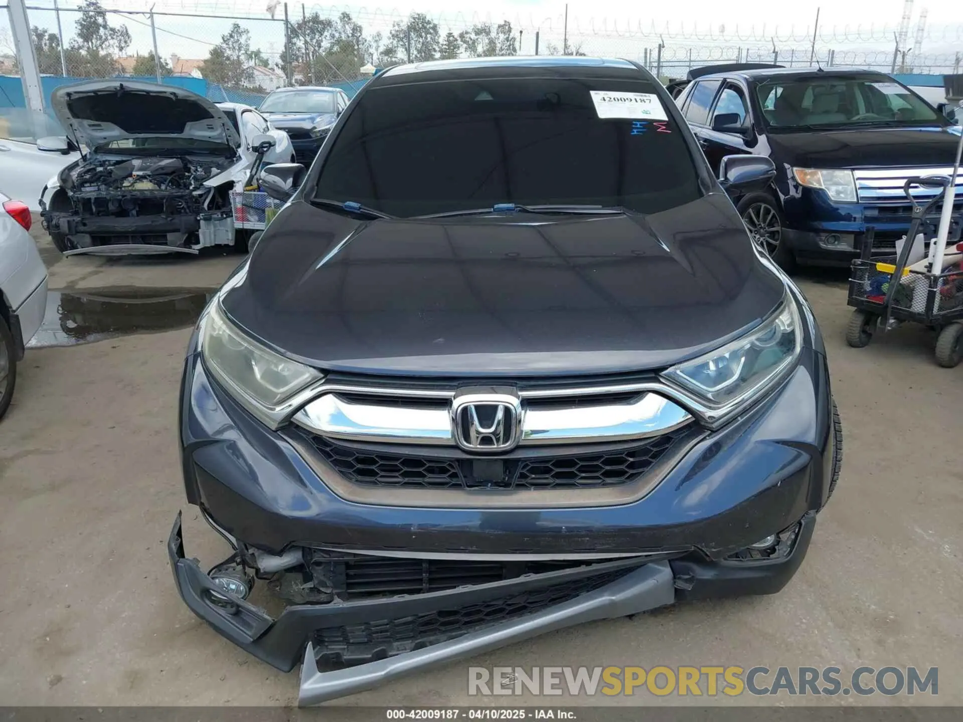 13 Photograph of a damaged car 5J6RW1H53KA031097 HONDA CR-V 2019