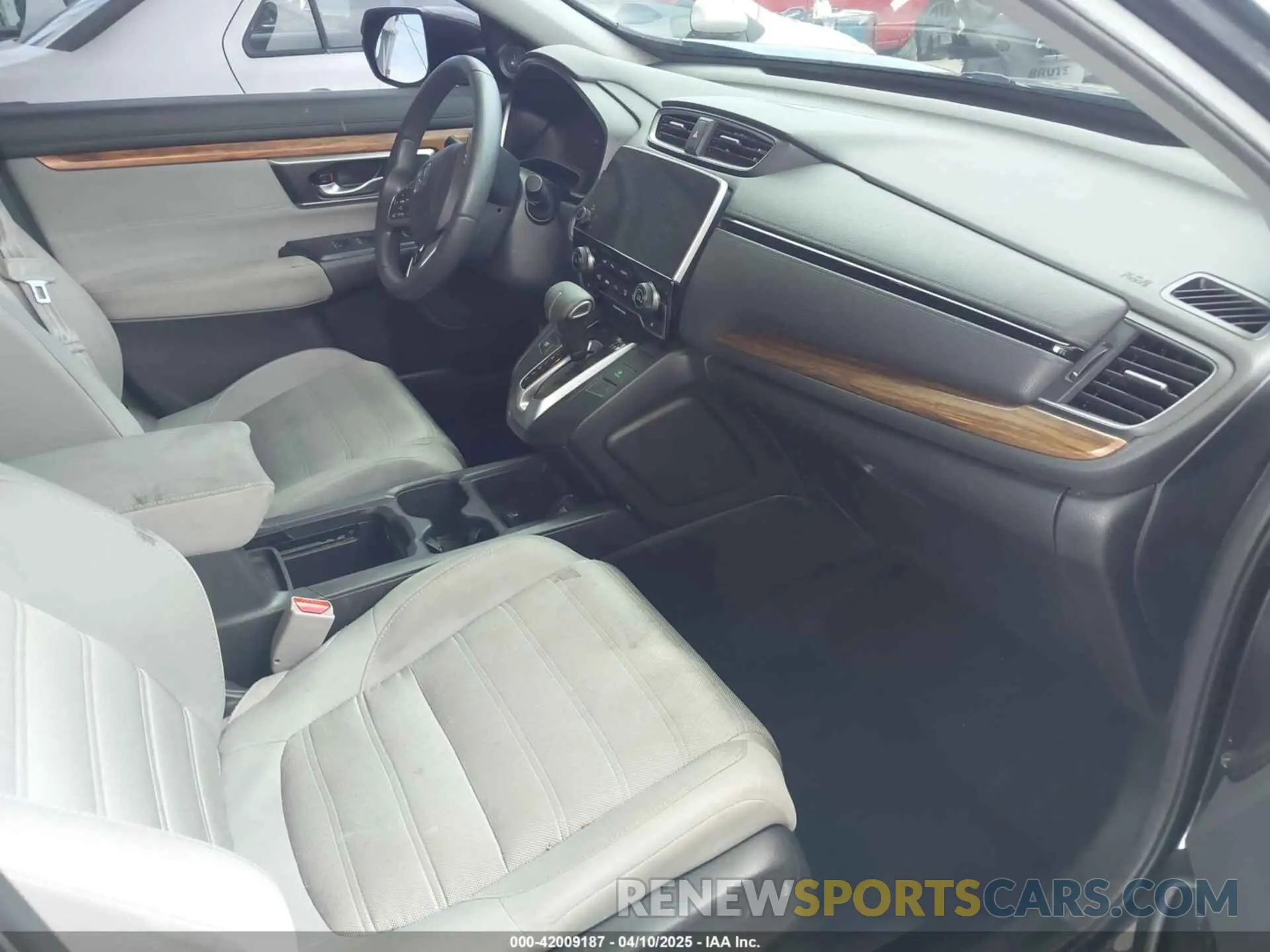5 Photograph of a damaged car 5J6RW1H53KA031097 HONDA CR-V 2019