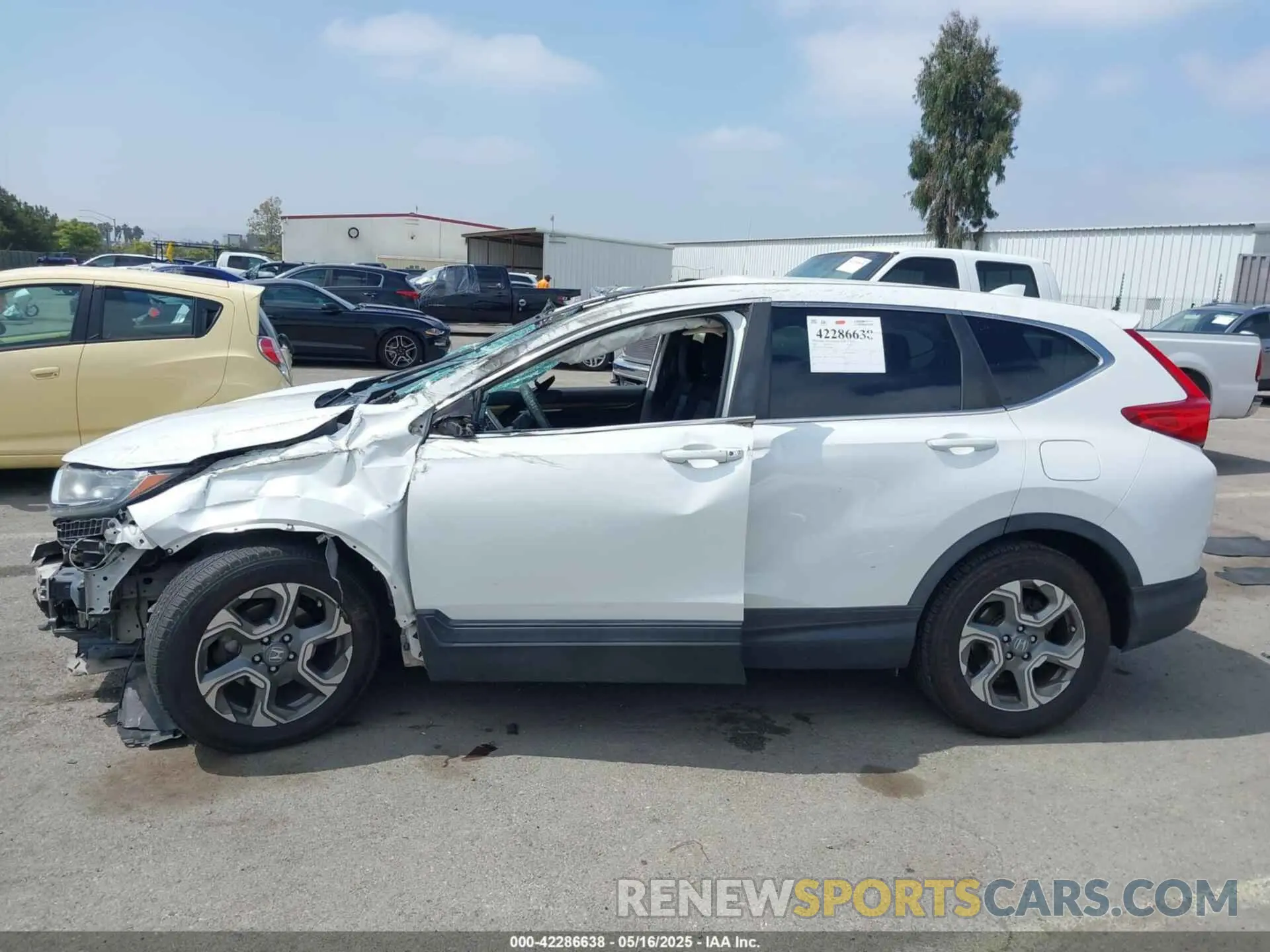 13 Photograph of a damaged car 5J6RW1H59KA008908 HONDA CR-V 2019
