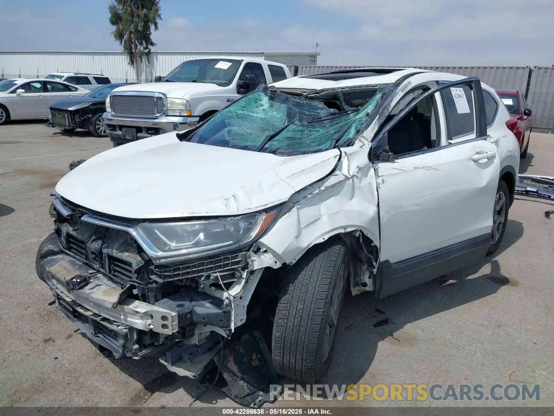 6 Photograph of a damaged car 5J6RW1H59KA008908 HONDA CR-V 2019