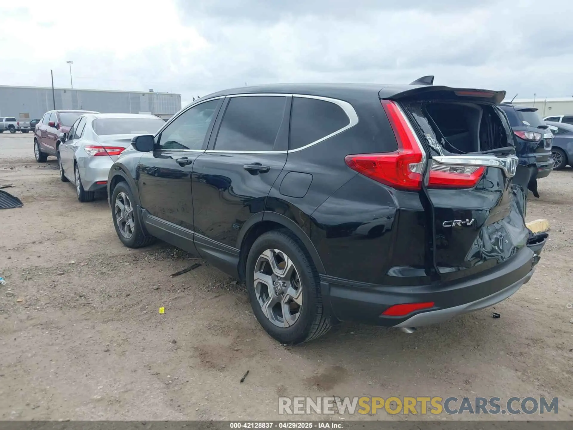 3 Фотография поврежденного автомобиля 5J6RW1H80KA036459 HONDA CR-V 2019