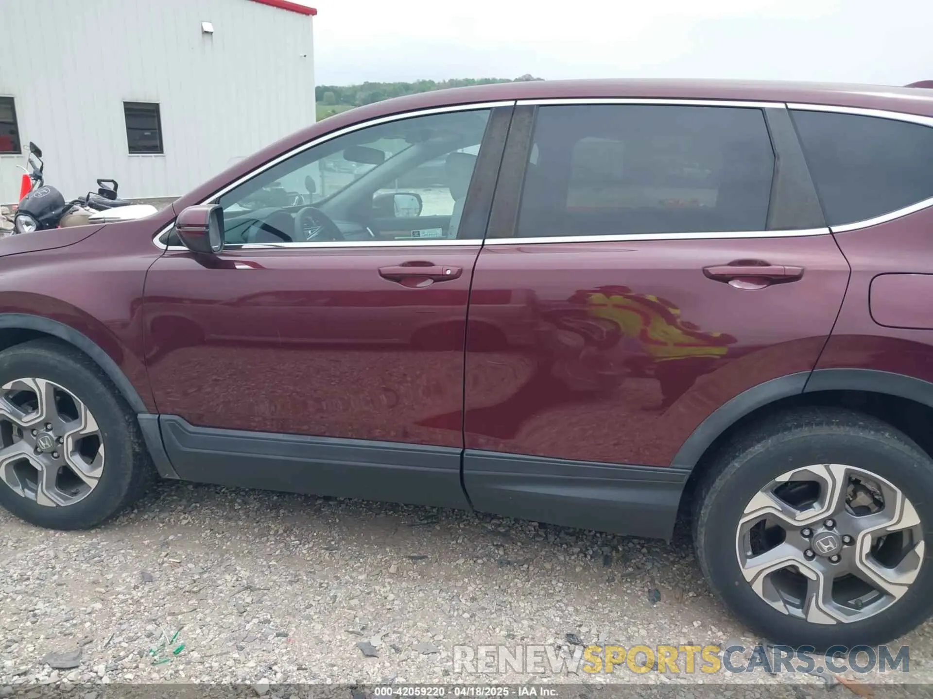 14 Фотография поврежденного автомобиля 5J6RW2H56KL007712 HONDA CR-V 2019