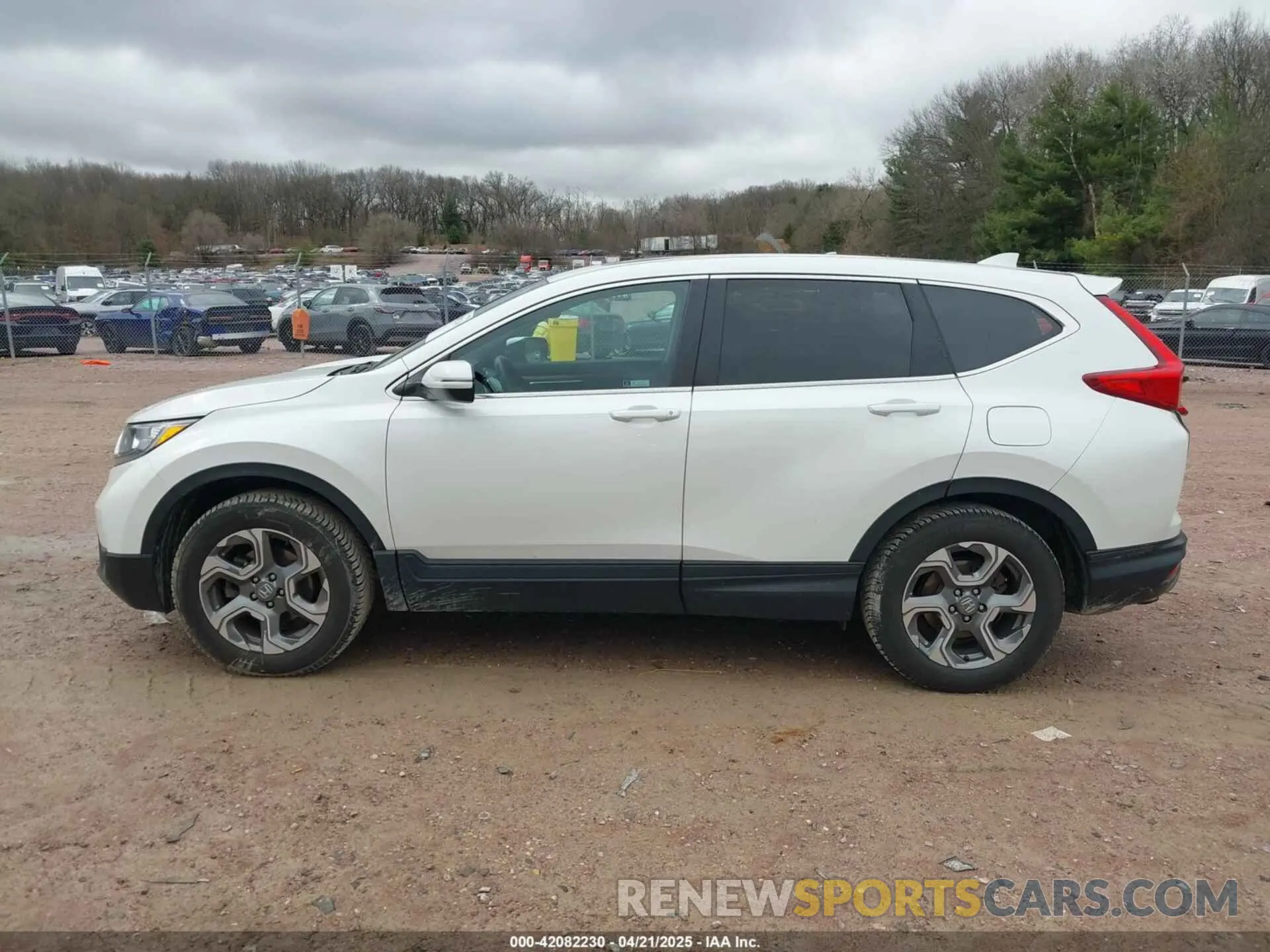 14 Фотография поврежденного автомобиля 5J6RW2H87KL018230 HONDA CR-V 2019