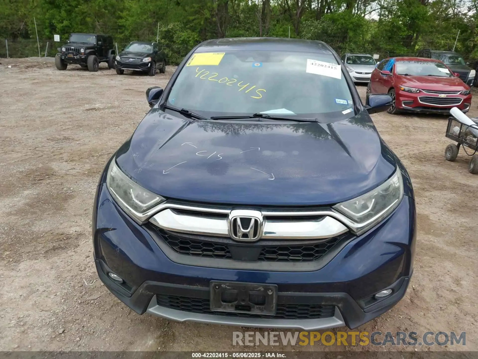 12 Photograph of a damaged car 5J6RW2H89KA000971 HONDA CR-V 2019