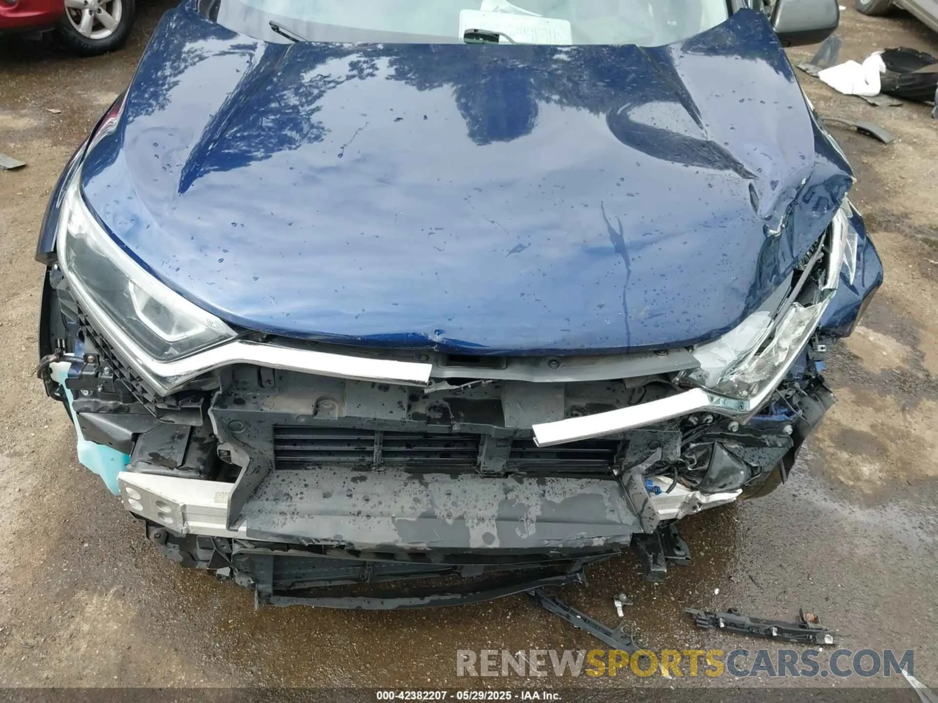 10 Photograph of a damaged car 5J6RW6H33KL005356 HONDA CR-V 2019