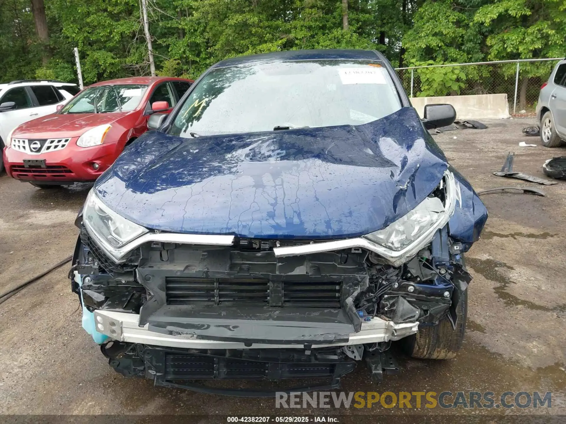 13 Photograph of a damaged car 5J6RW6H33KL005356 HONDA CR-V 2019