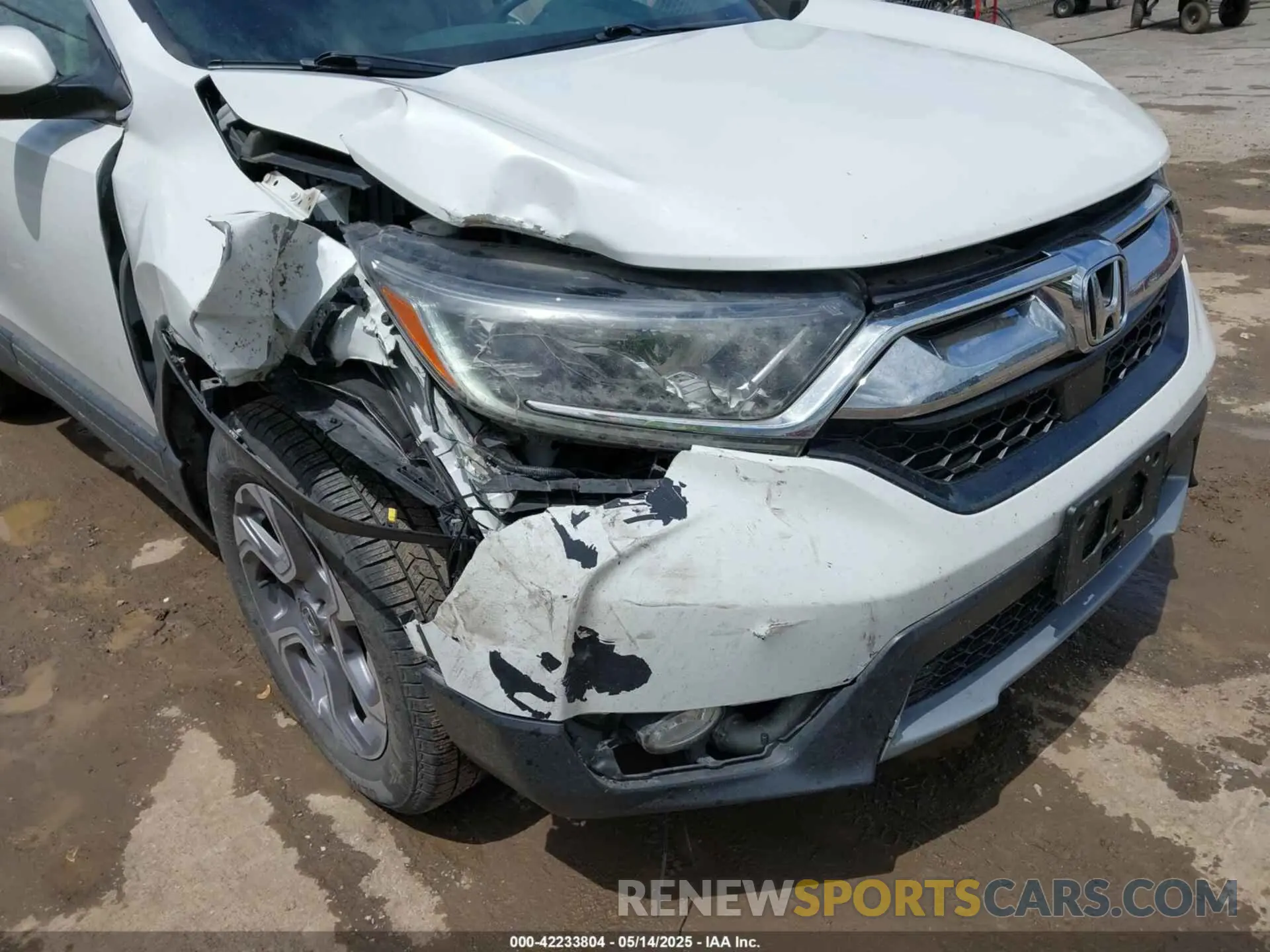 6 Photograph of a damaged car 7FARW2H52KE047847 HONDA CR-V 2019