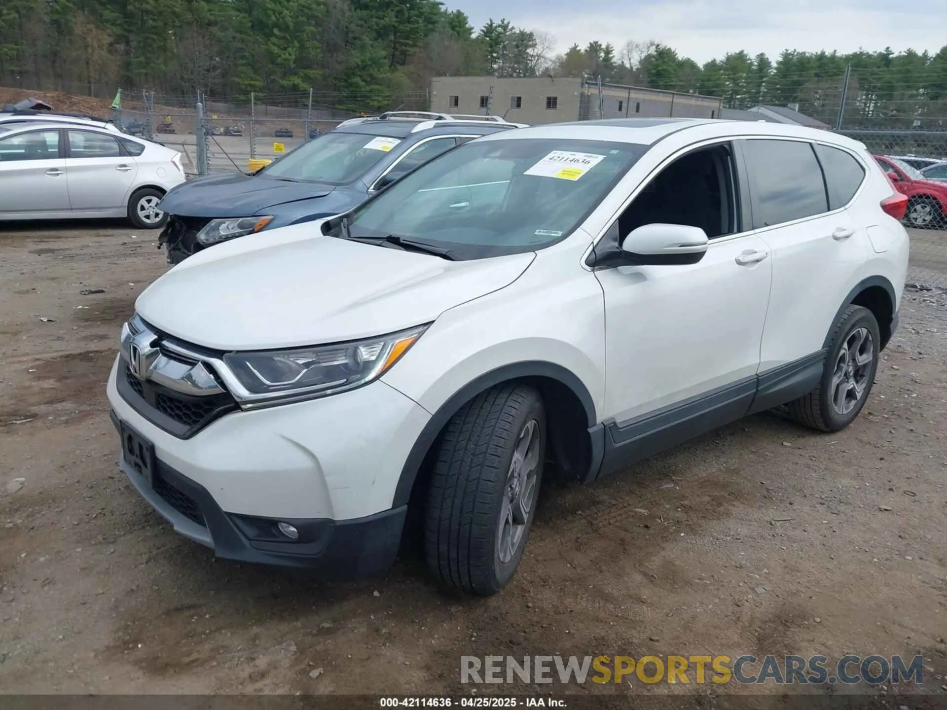 2 Photograph of a damaged car 7FARW2H5XKE029516 HONDA CR-V 2019