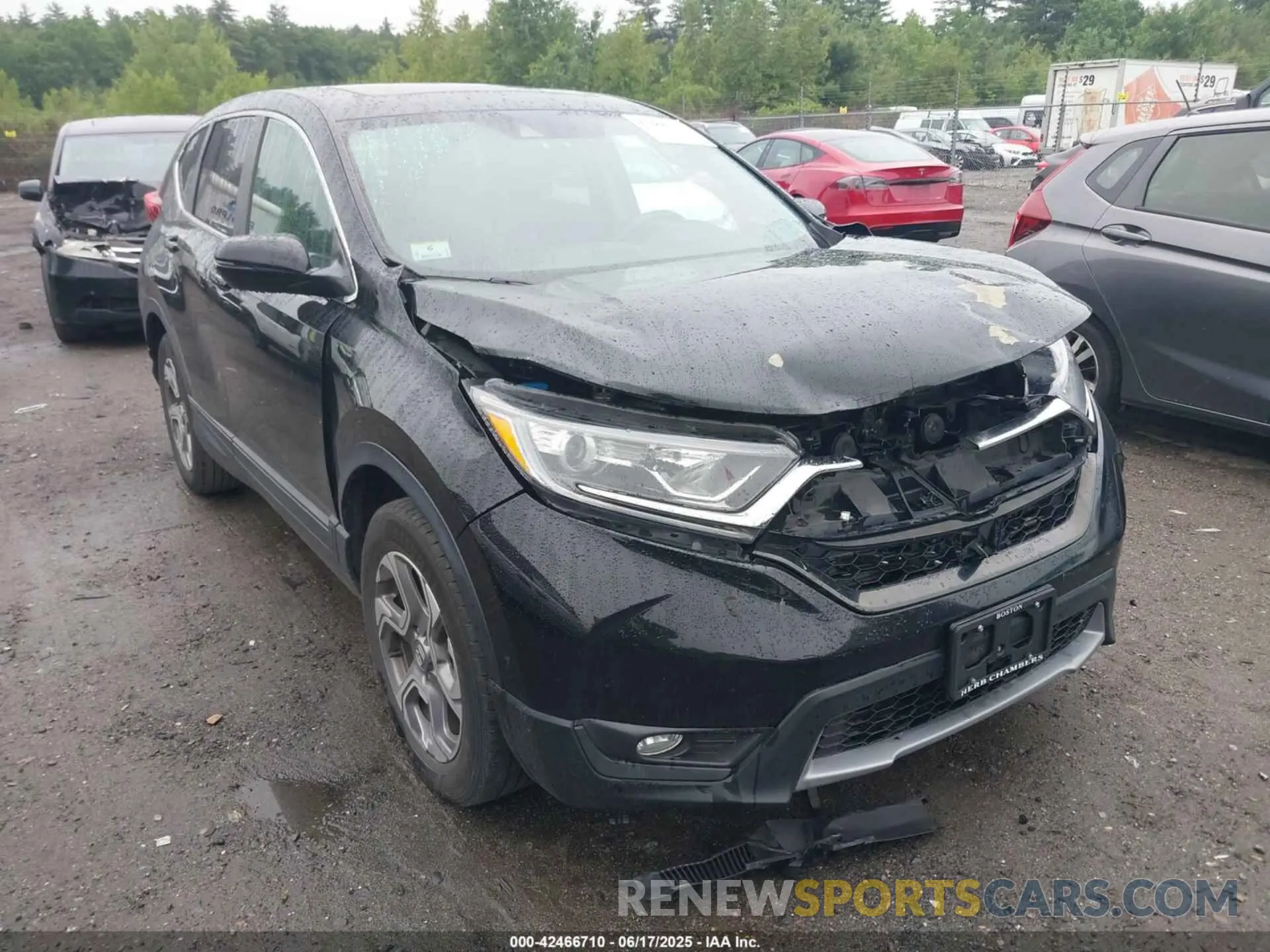 1 Photograph of a damaged car JHLRW2H83KX004259 HONDA CR-V 2019