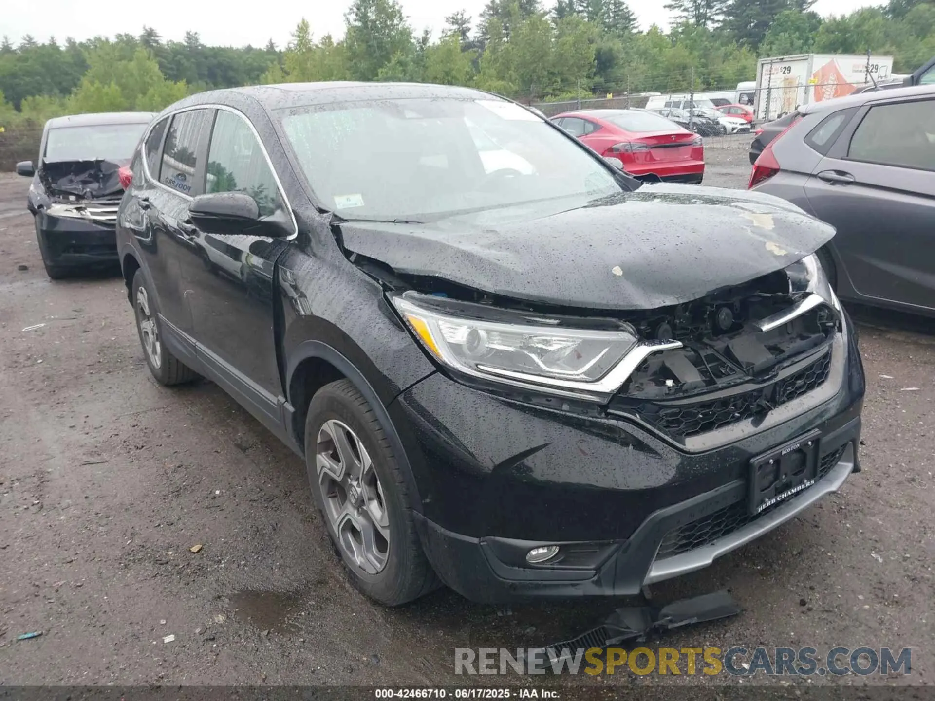 13 Photograph of a damaged car JHLRW2H83KX004259 HONDA CR-V 2019