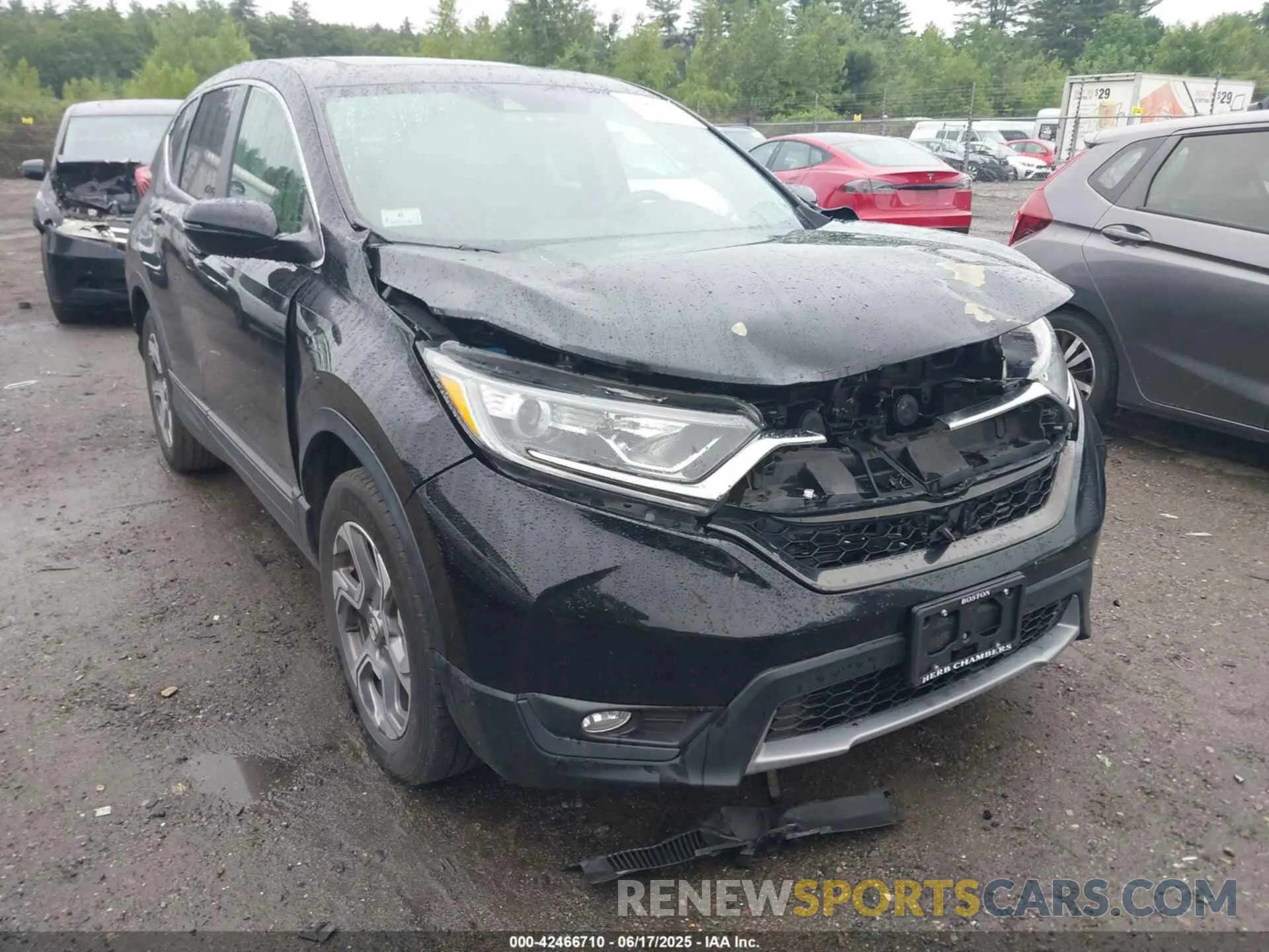 6 Photograph of a damaged car JHLRW2H83KX004259 HONDA CR-V 2019