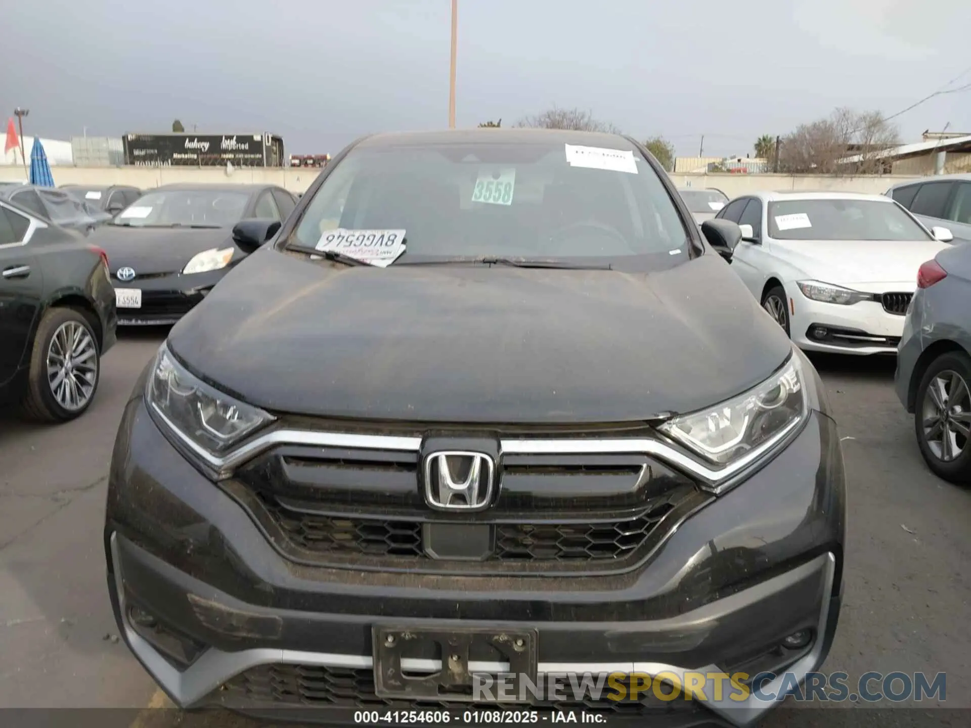 12 Photograph of a damaged car 2HKRW1H50LH420585 HONDA CR-V 2020