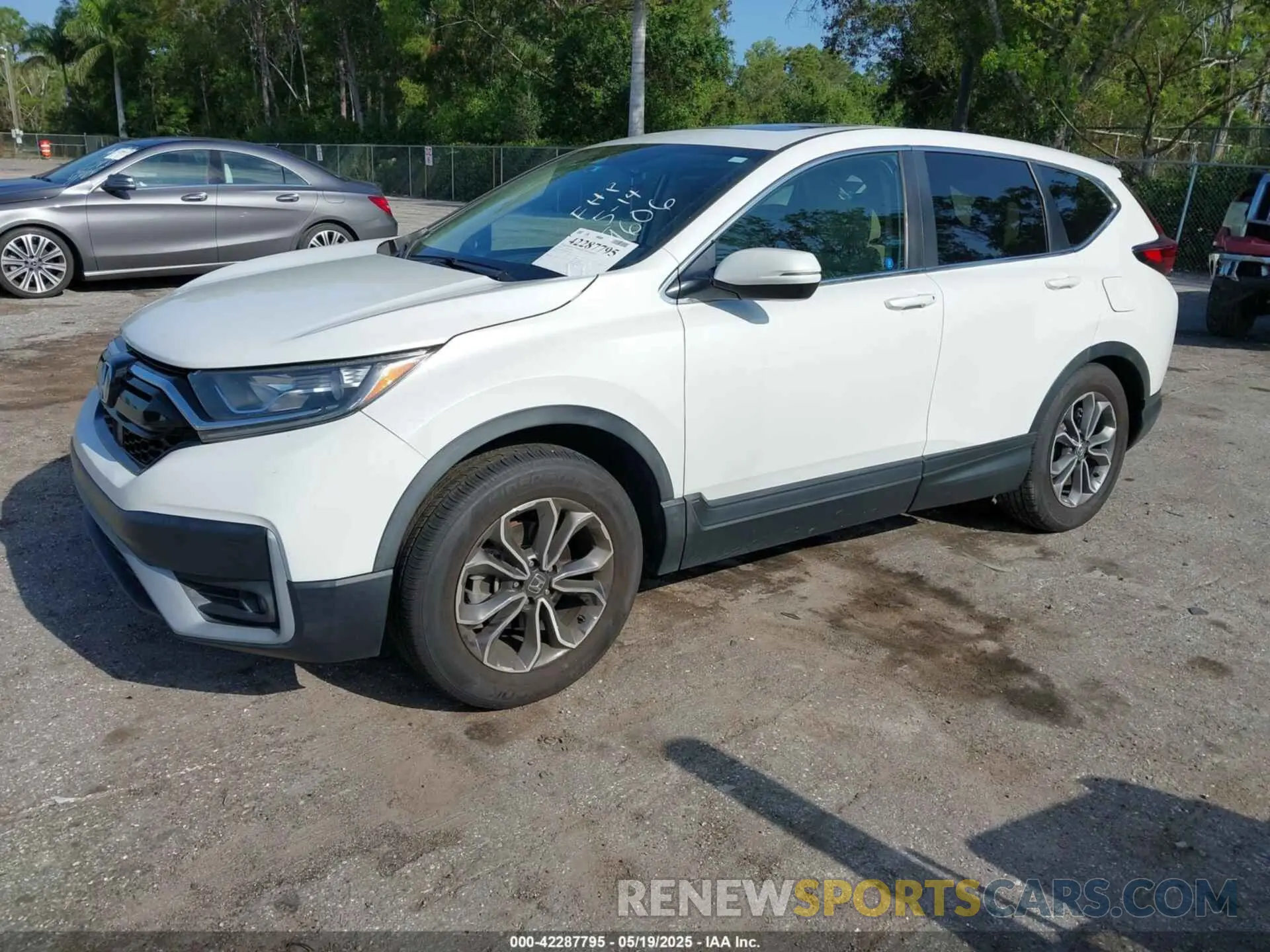 2 Photograph of a damaged car 2HKRW1H5XLH419606 HONDA CR-V 2020