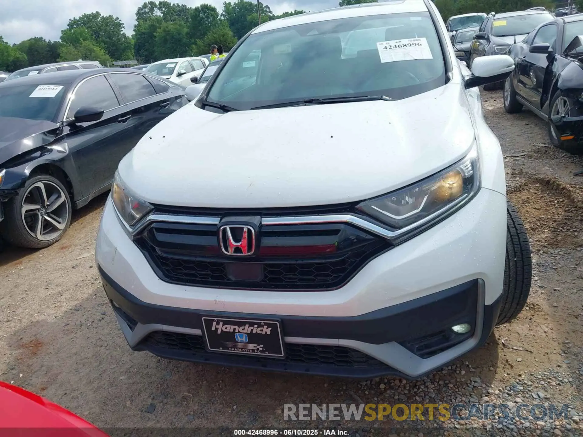 12 Photograph of a damaged car 2HKRW2H52LH689953 HONDA CR-V 2020
