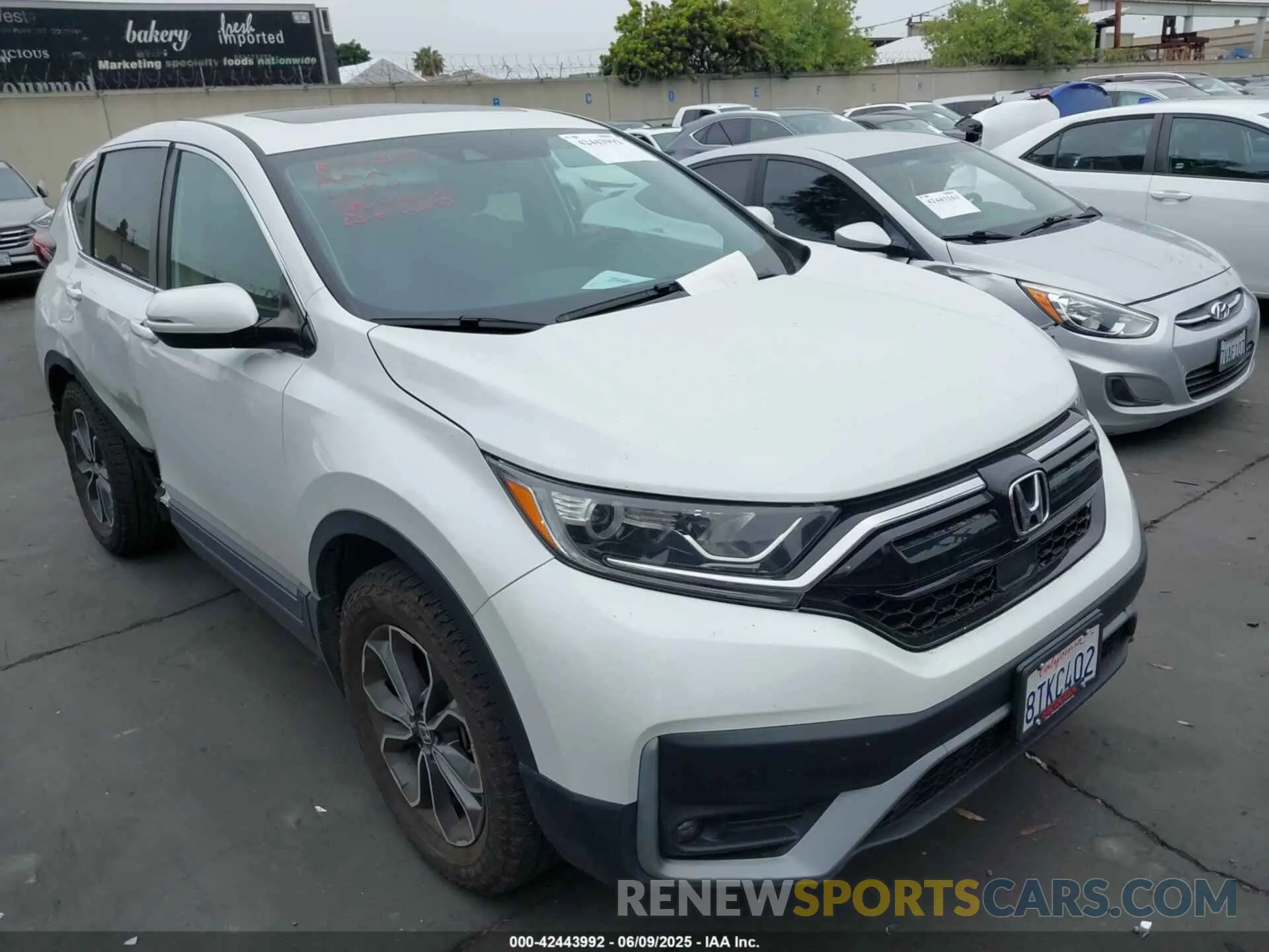 1 Photograph of a damaged car 2HKRW2H80LH692392 HONDA CR-V 2020