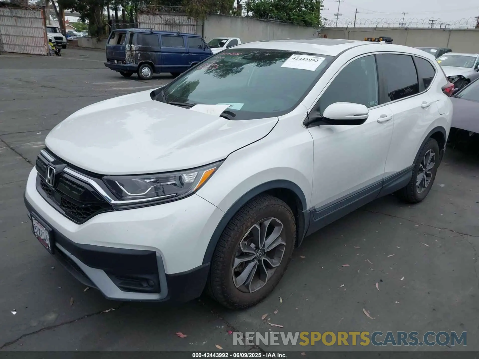 2 Photograph of a damaged car 2HKRW2H80LH692392 HONDA CR-V 2020