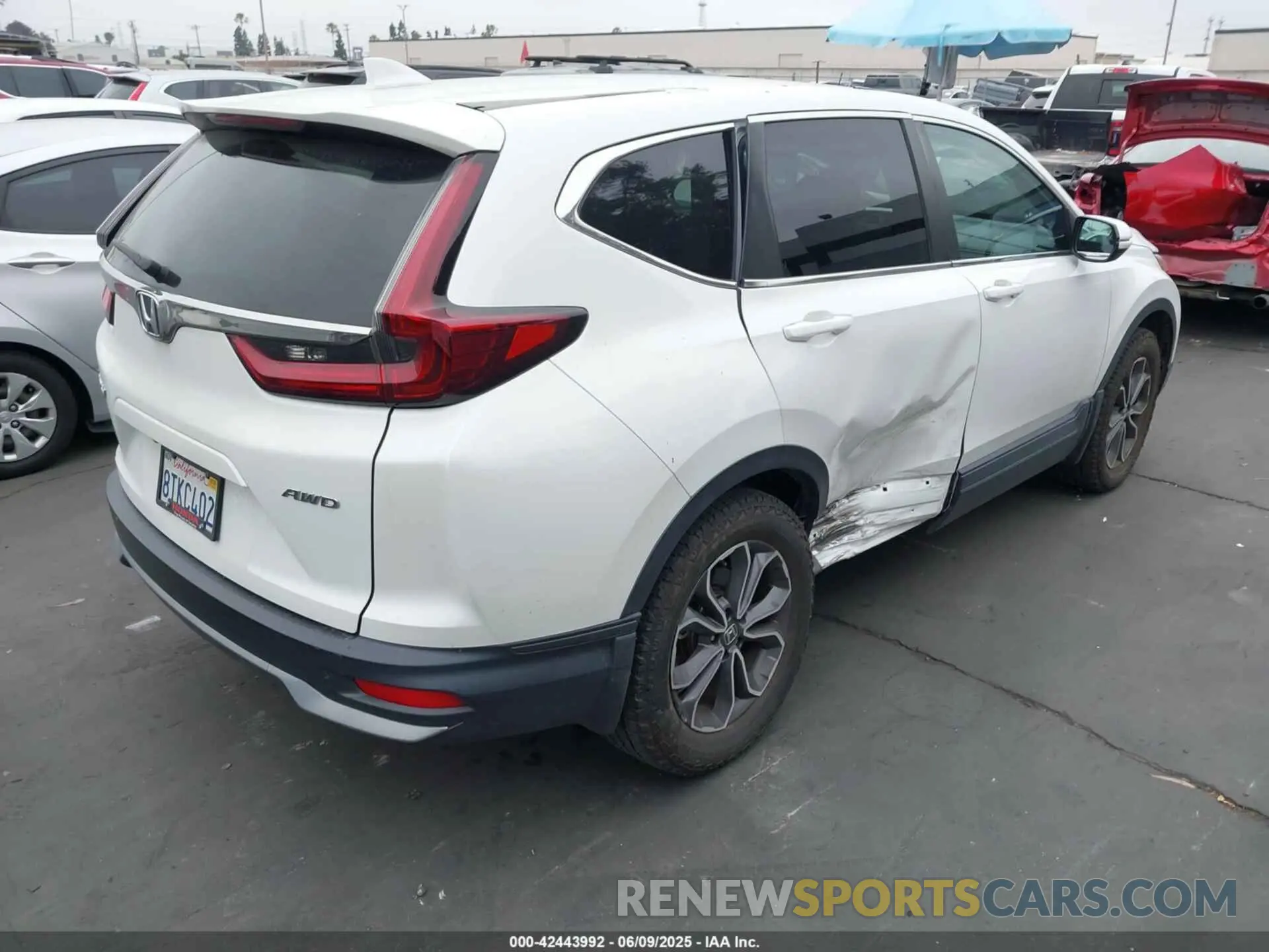 4 Photograph of a damaged car 2HKRW2H80LH692392 HONDA CR-V 2020