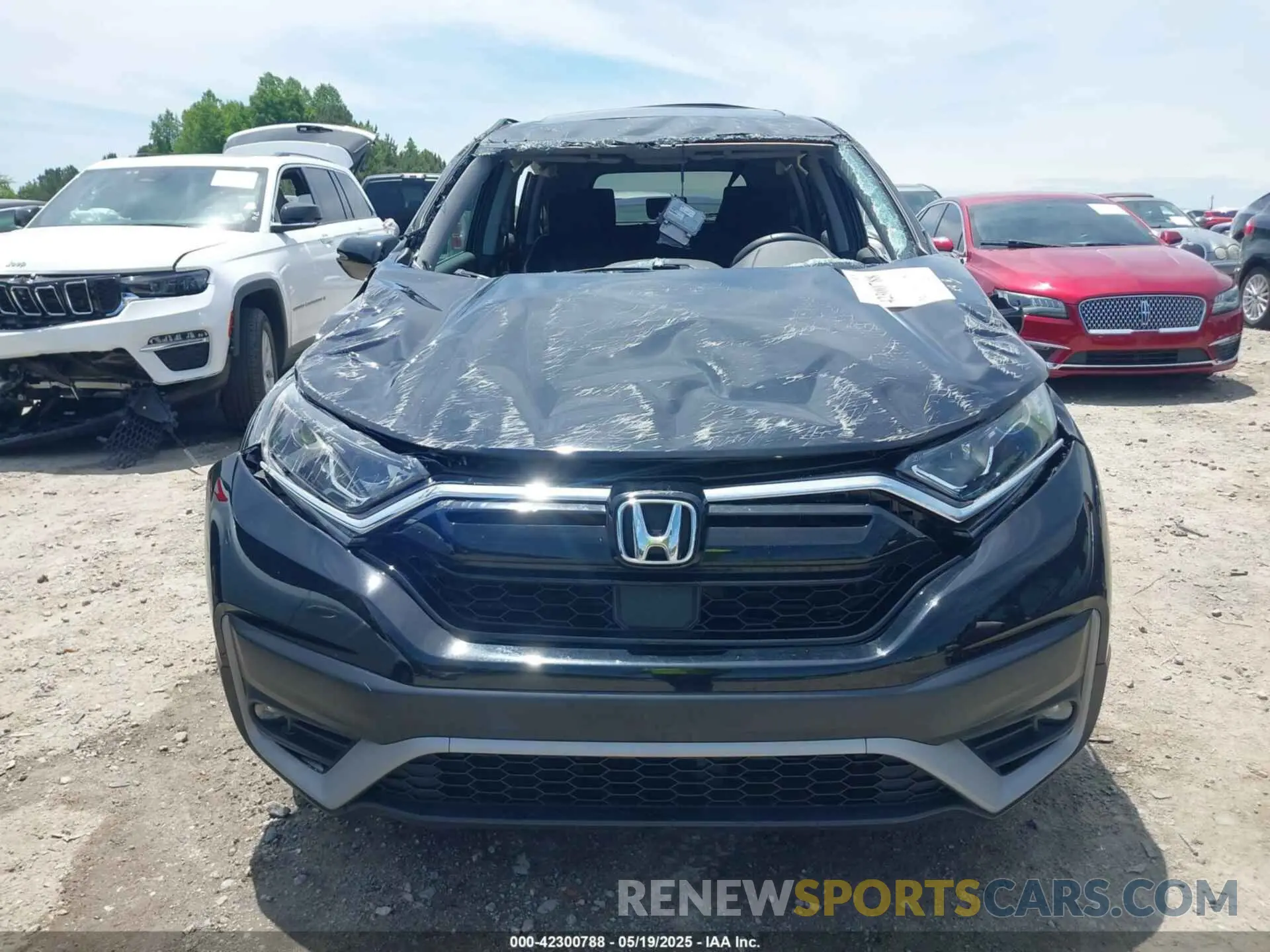 6 Photograph of a damaged car 5J6RW1H51LL013655 HONDA CR-V 2020