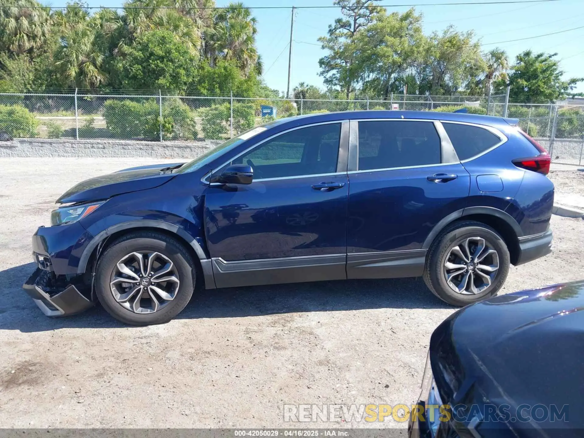 14 Photograph of a damaged car 5J6RW1H56LA006163 HONDA CR-V 2020