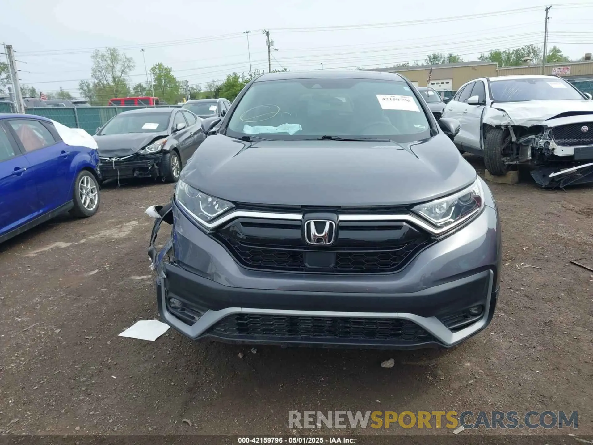 12 Photograph of a damaged car 5J6RW1H57LL014261 HONDA CR-V 2020