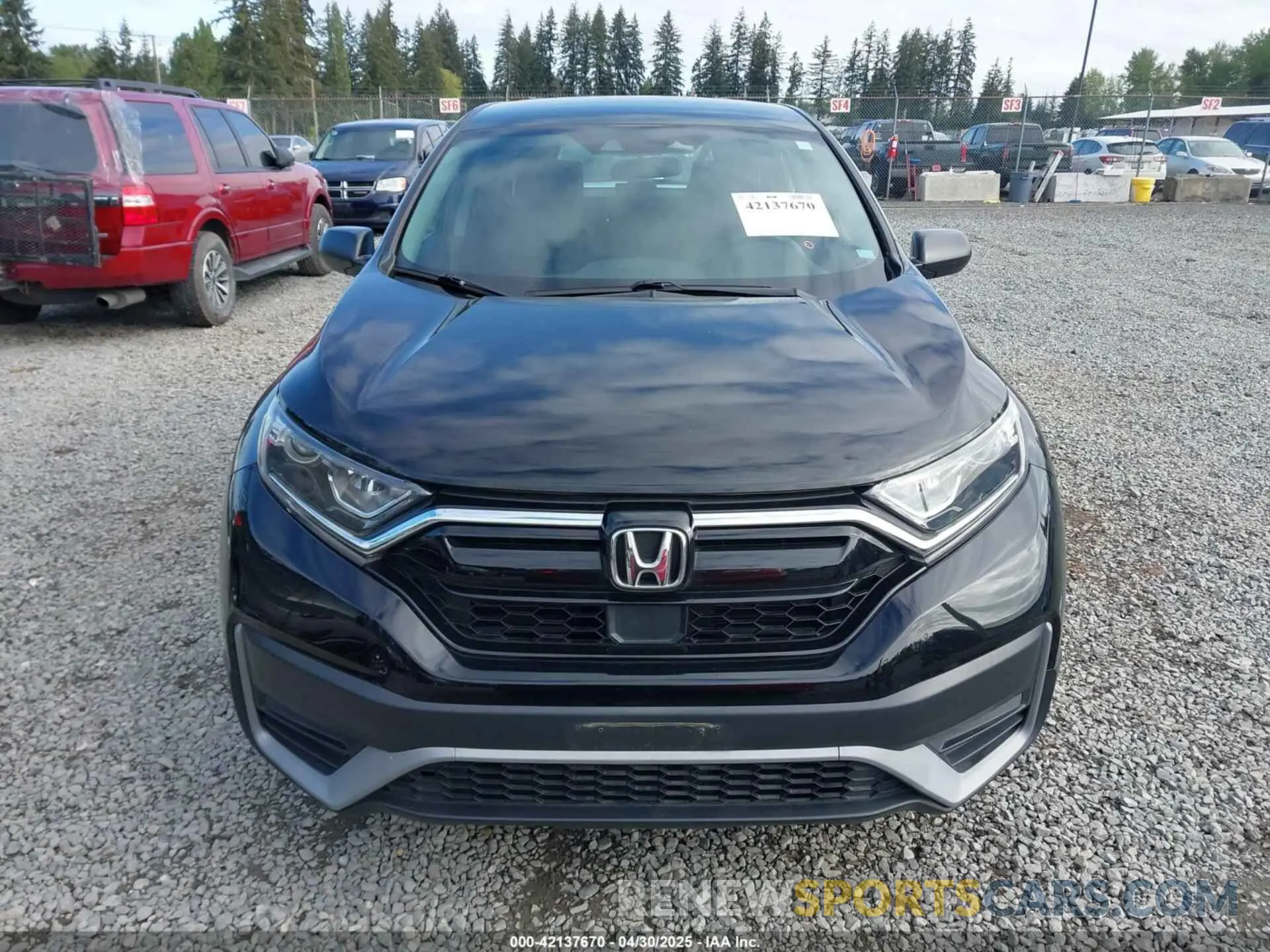 12 Photograph of a damaged car 5J6RW2H20LA009247 HONDA CR-V 2020
