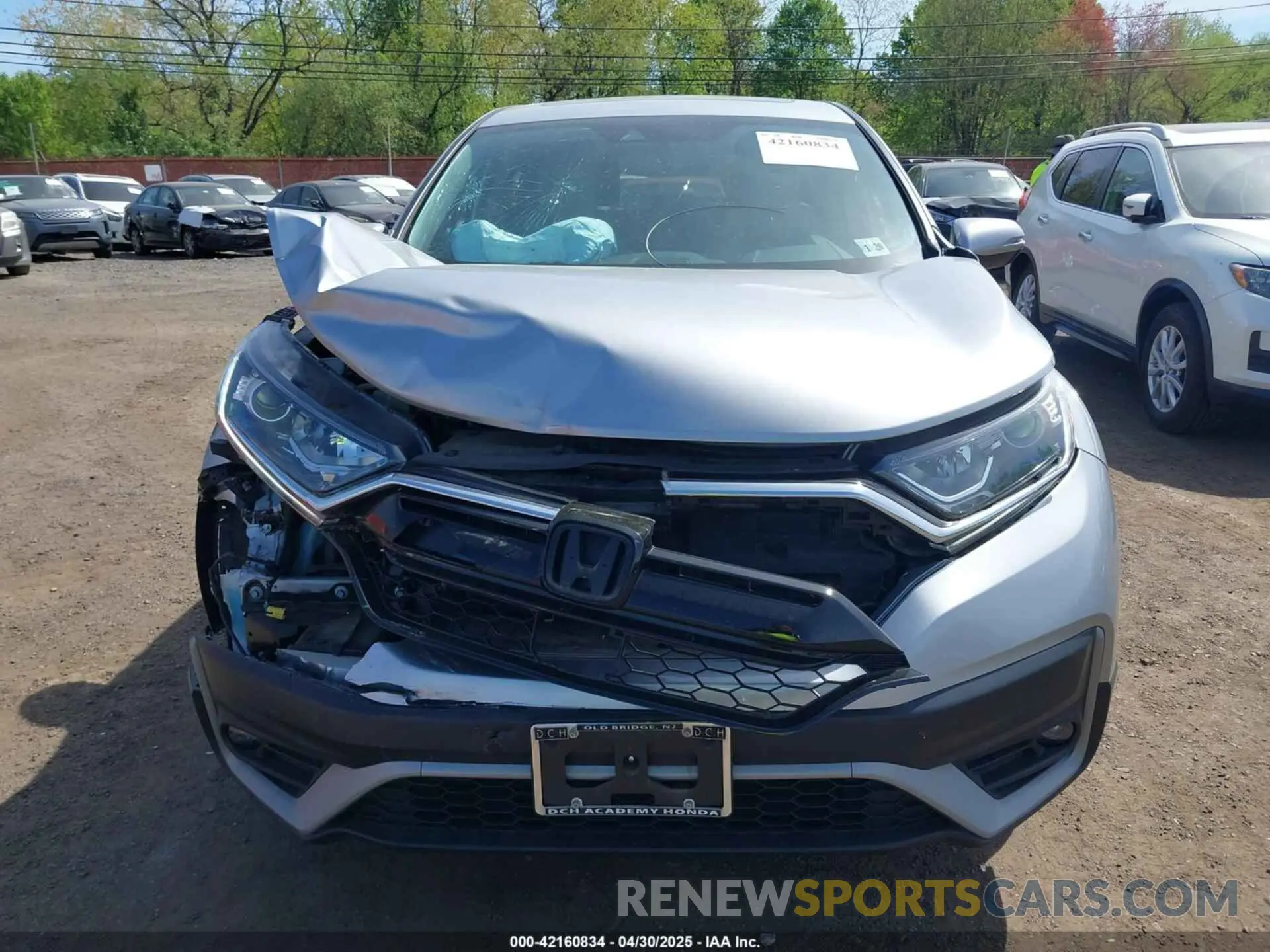 12 Photograph of a damaged car 5J6RW2H80LA022181 HONDA CR-V 2020