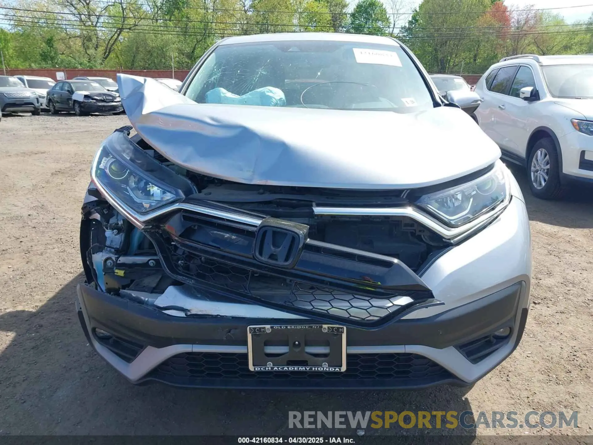 6 Photograph of a damaged car 5J6RW2H80LA022181 HONDA CR-V 2020