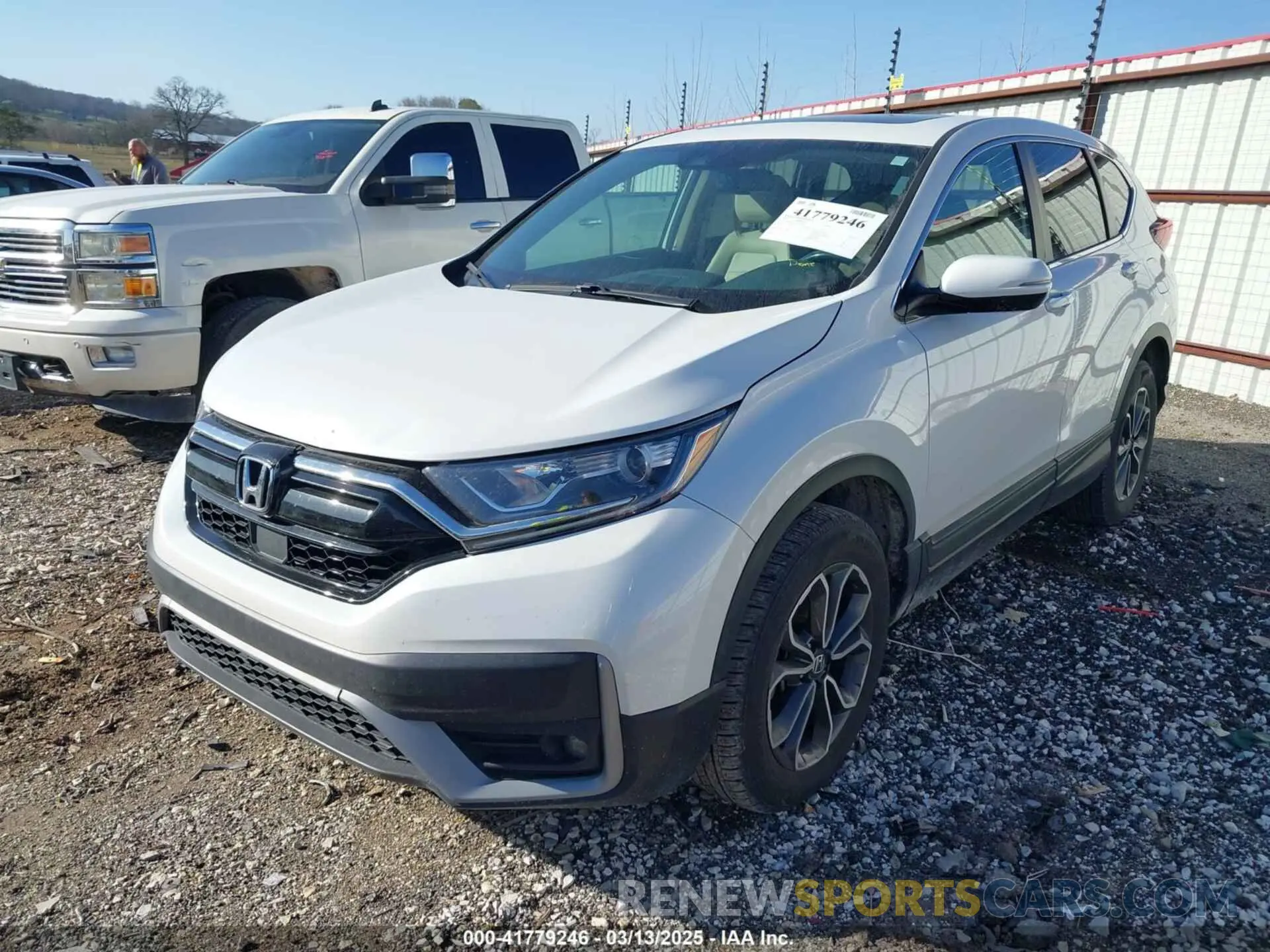 2 Фотография поврежденного автомобиля 5J6RW2H80LL021276 HONDA CR-V 2020