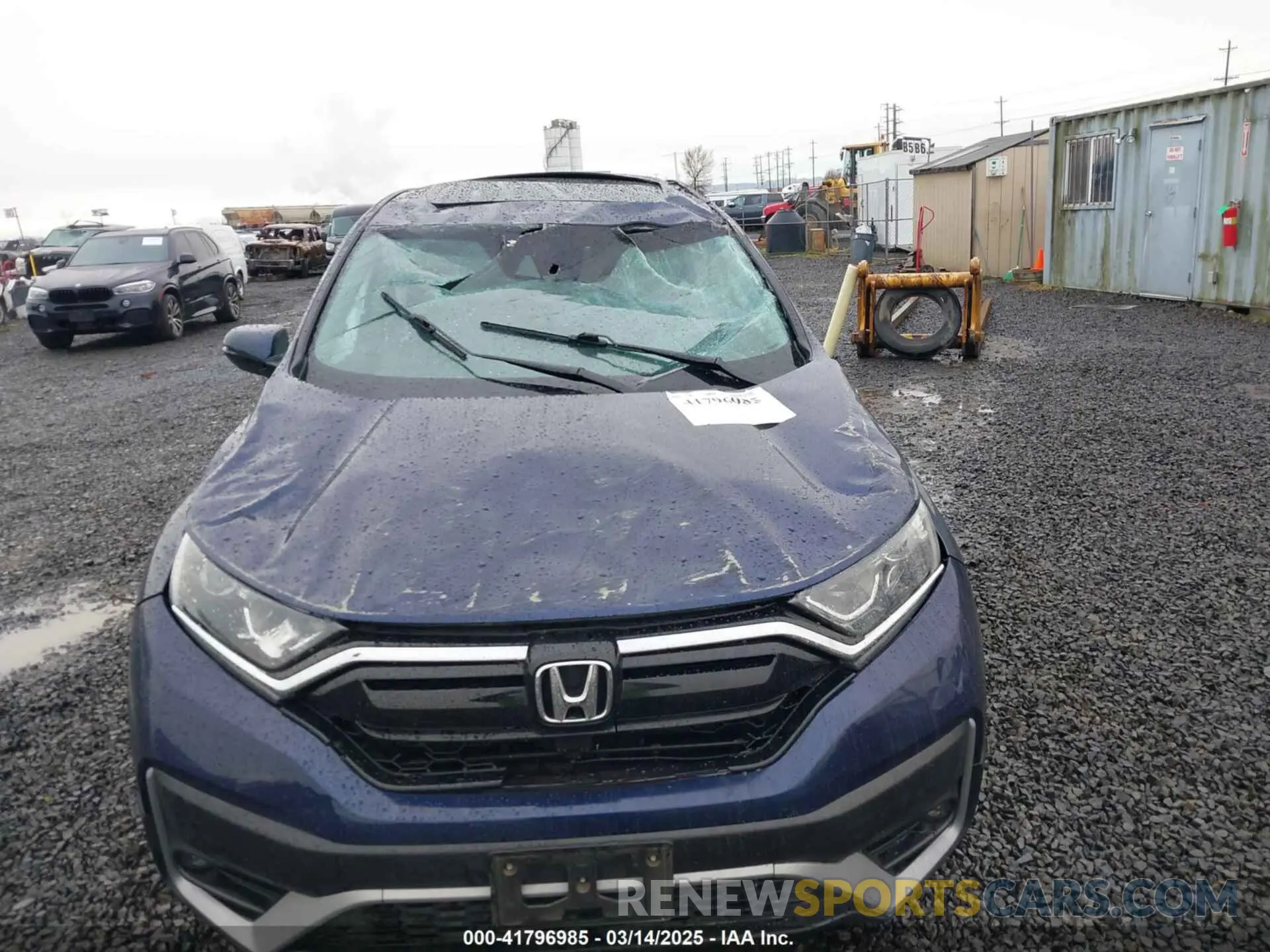 6 Photograph of a damaged car 5J6RW2H81LA005437 HONDA CR-V 2020