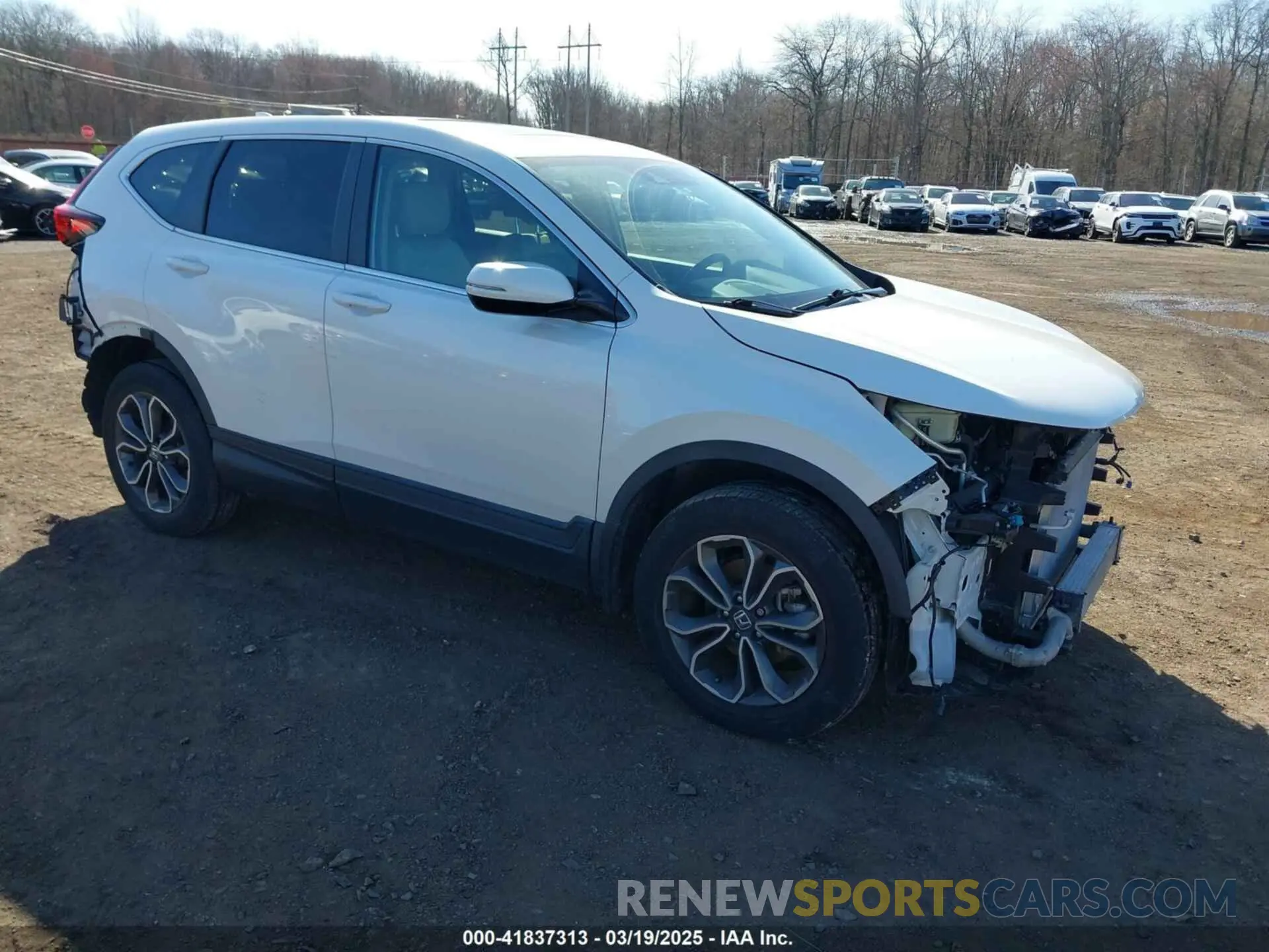 1 Фотография поврежденного автомобиля 5J6RW2H8XLA019966 HONDA CR-V 2020