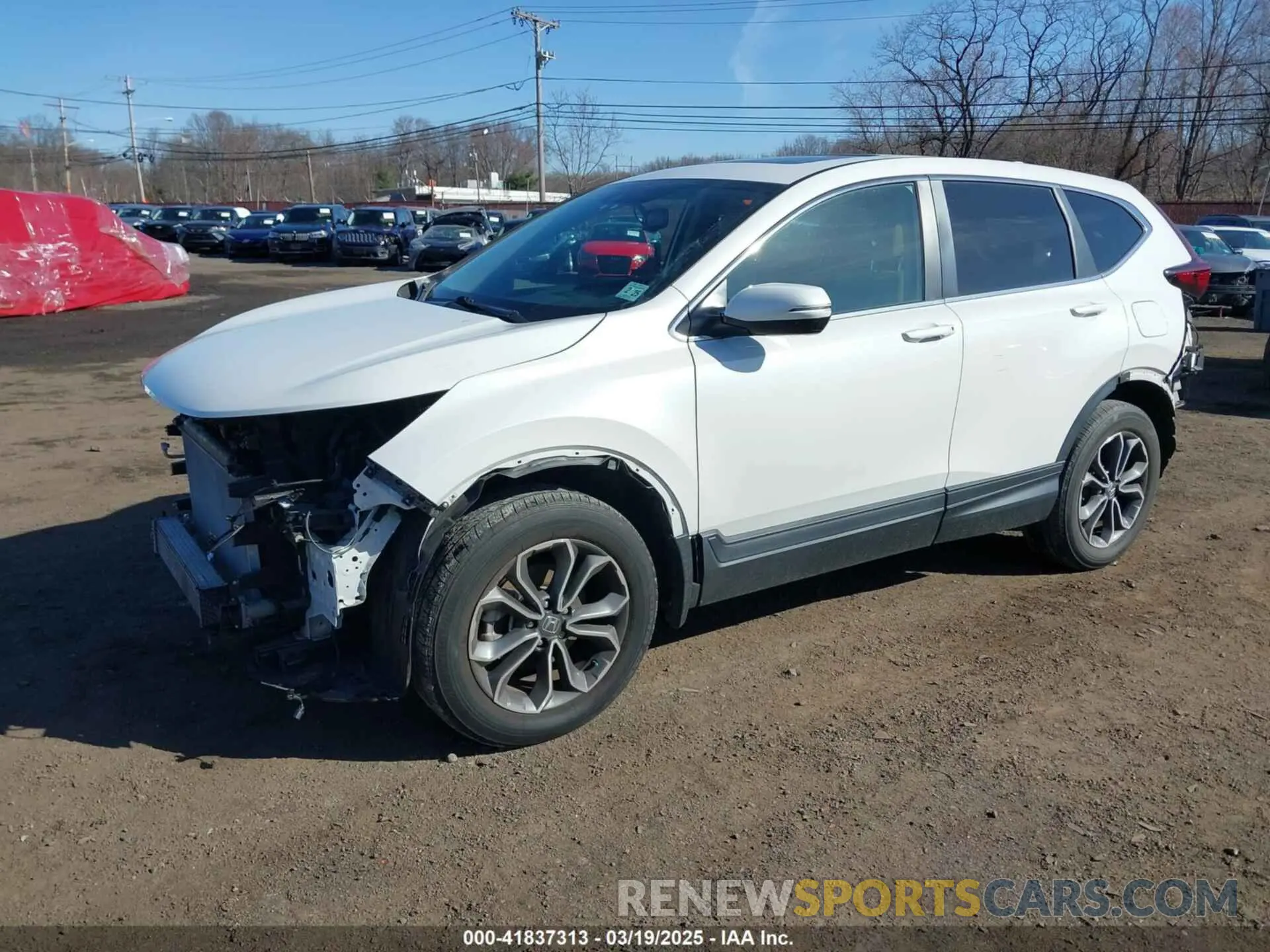 2 Фотография поврежденного автомобиля 5J6RW2H8XLA019966 HONDA CR-V 2020