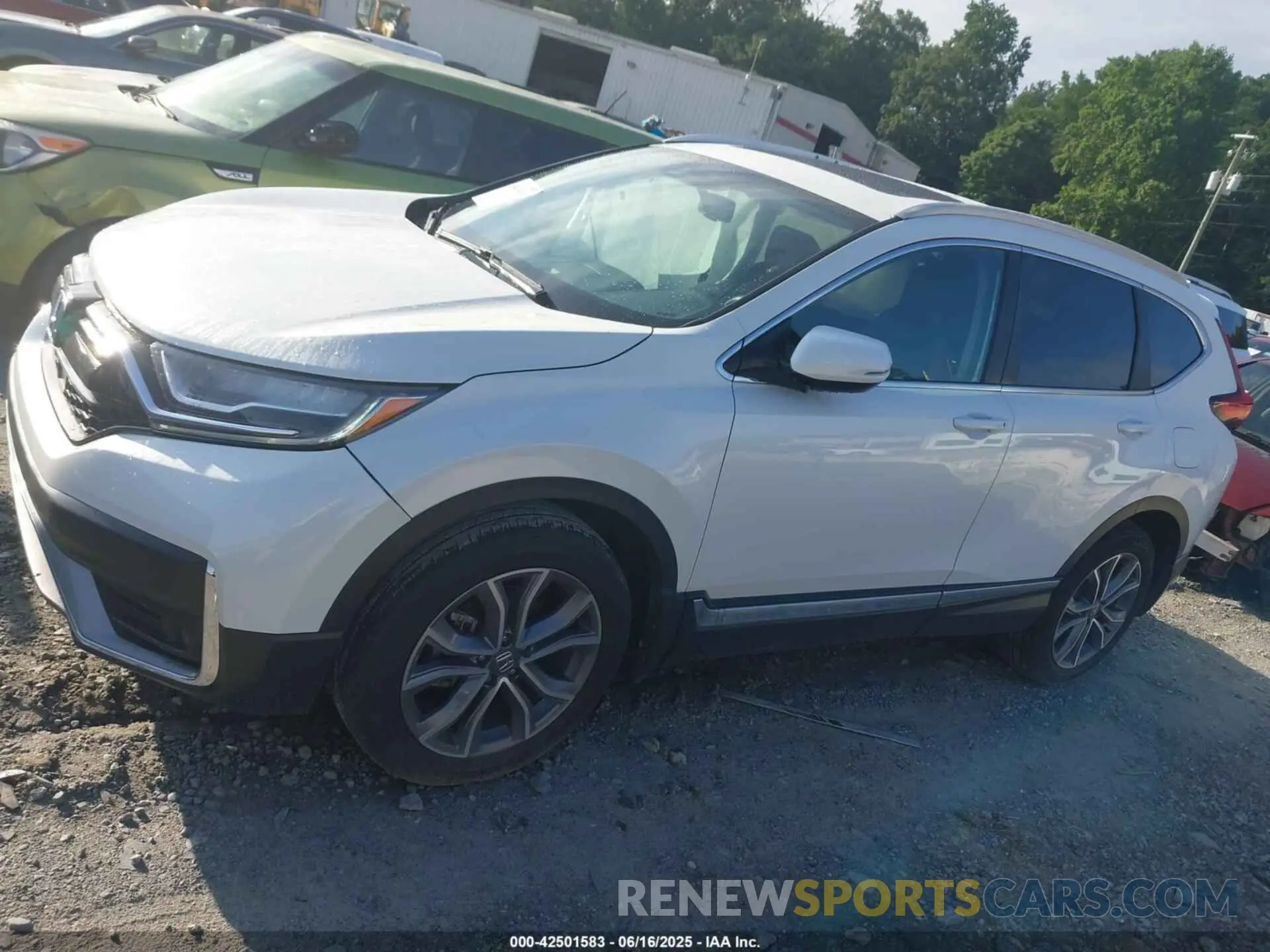 14 Photograph of a damaged car 5J6RW2H95LL002859 HONDA CR-V 2020