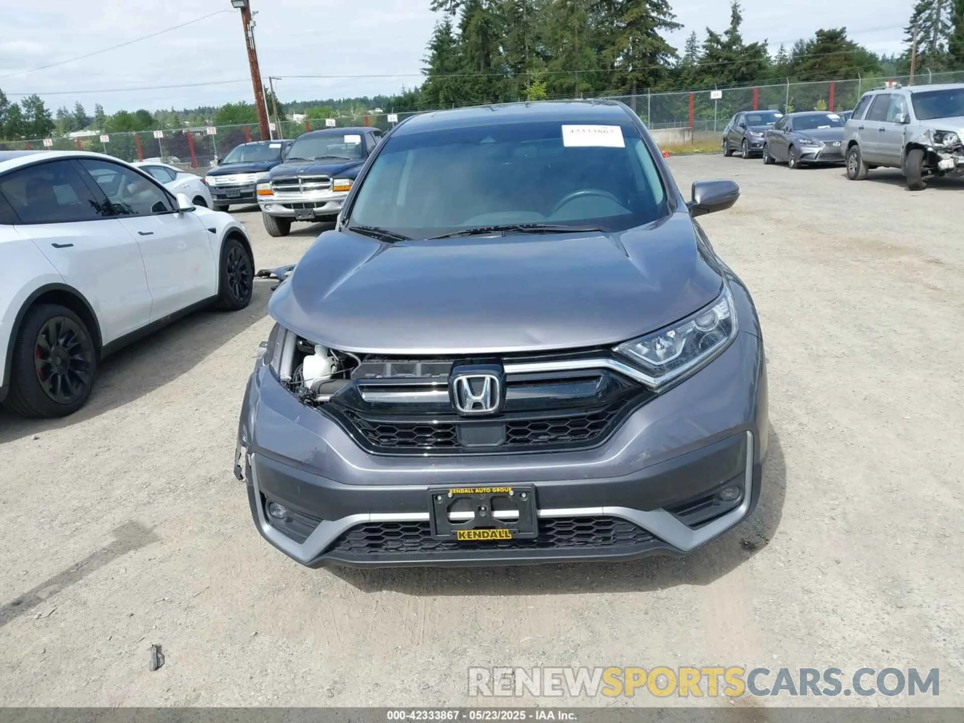 13 Photograph of a damaged car 7FARW2H82LE003469 HONDA CR-V 2020