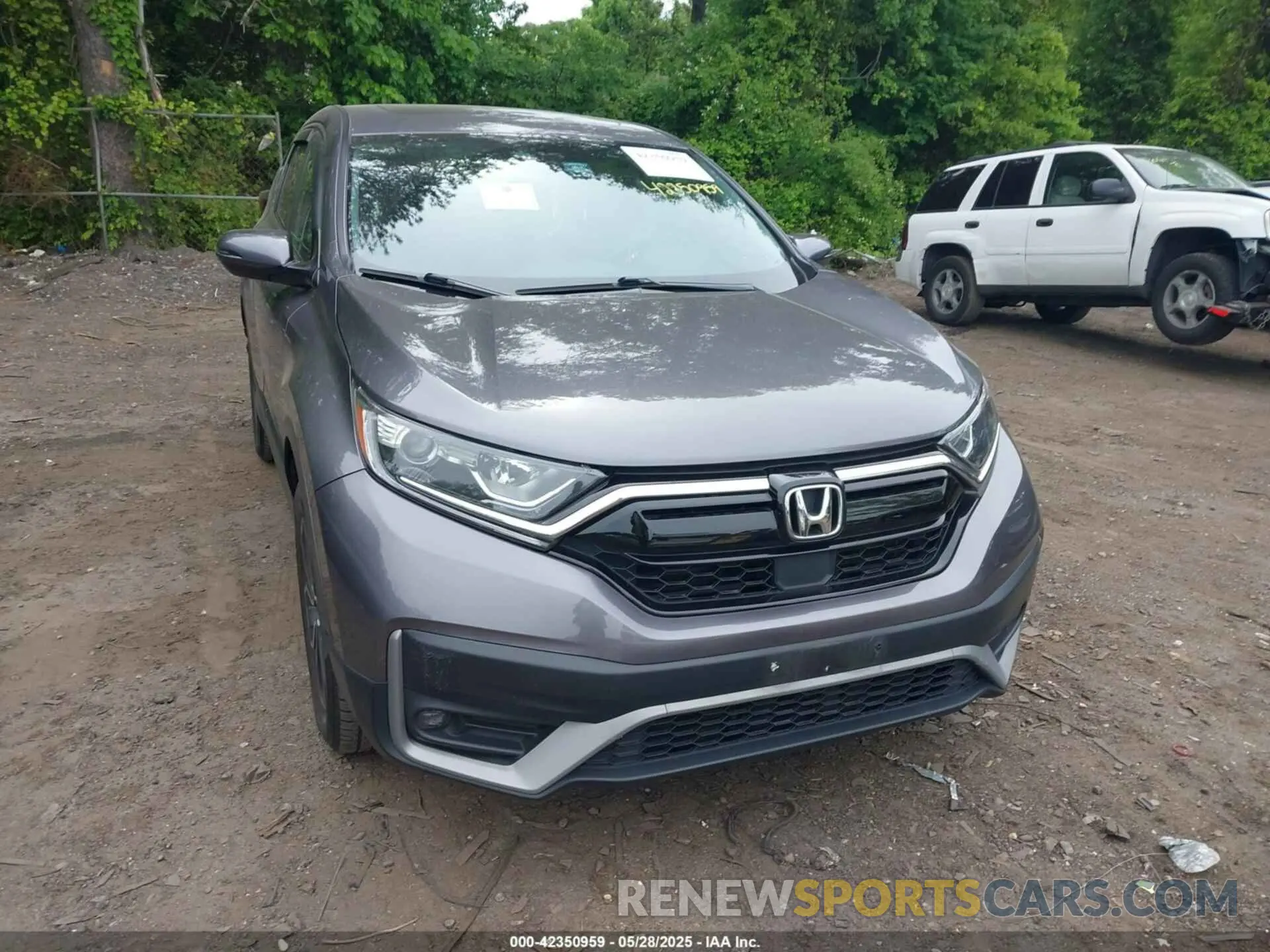 12 Фотография поврежденного автомобиля 2HKRW2H52MH663161 HONDA CR-V 2021