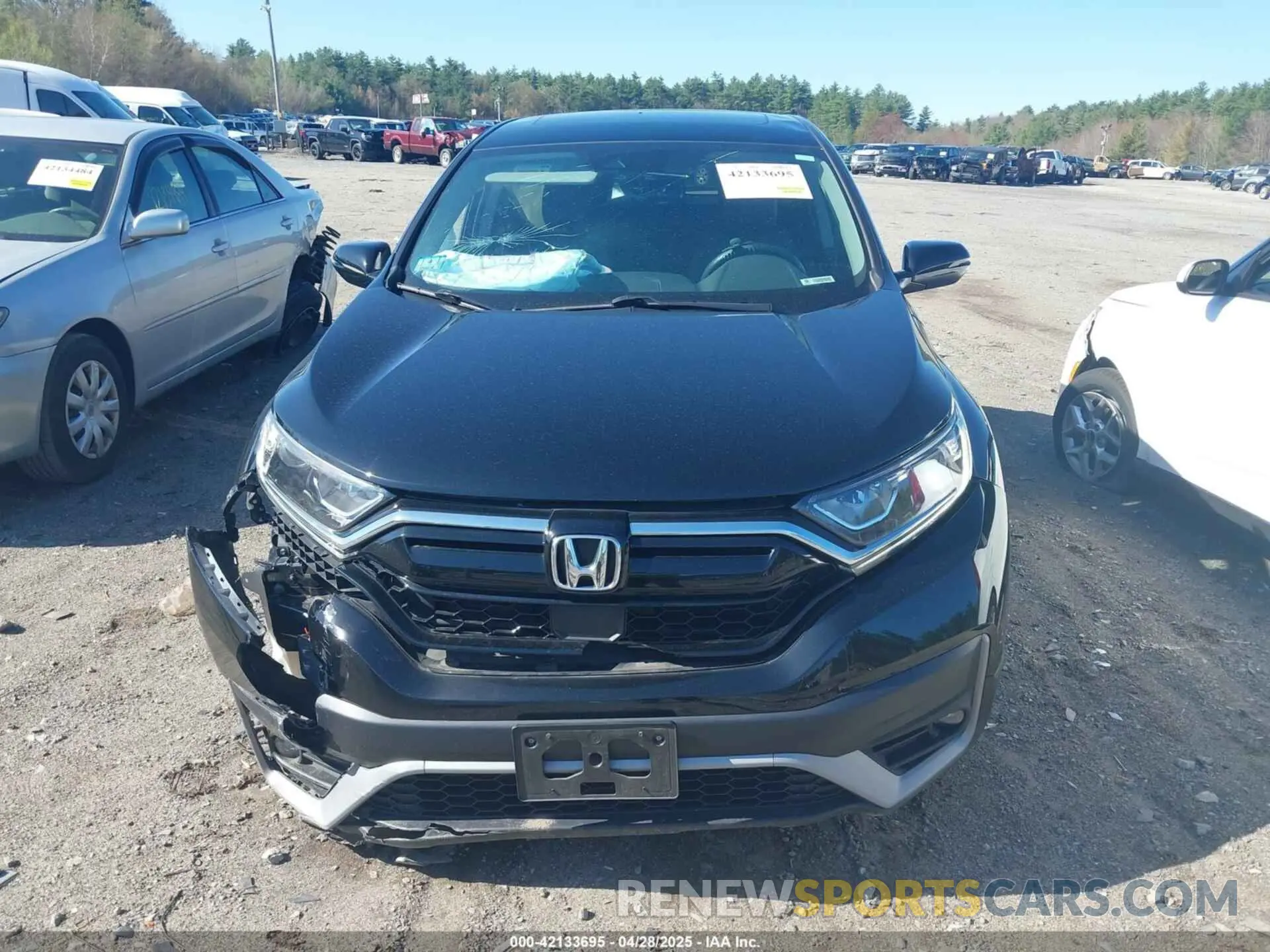 12 Photograph of a damaged car 2HKRW2H84MH623206 HONDA CR-V 2021