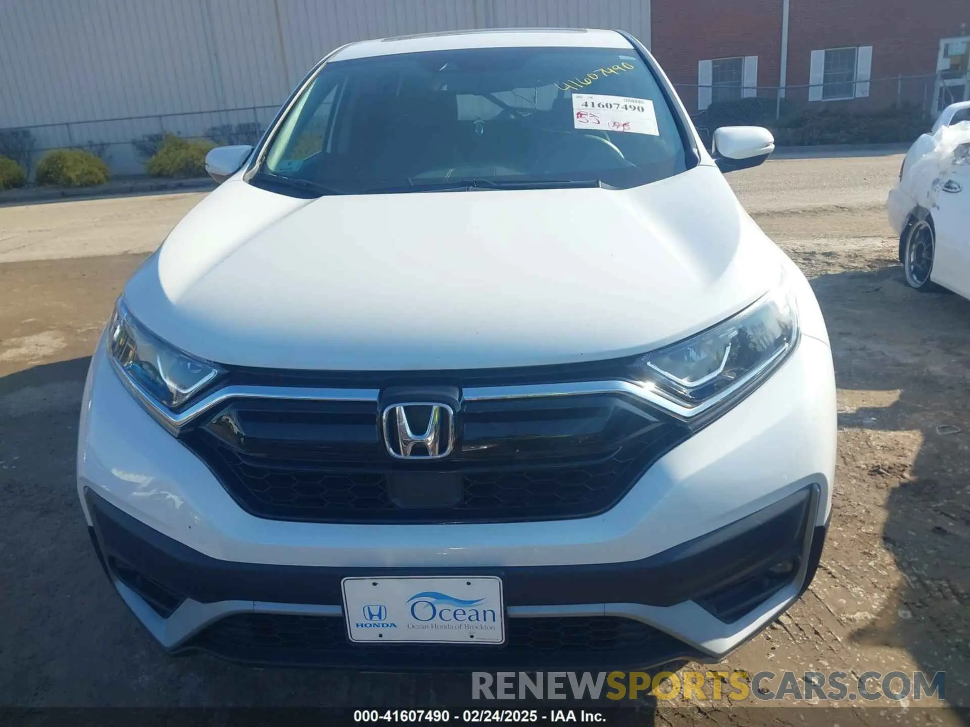 12 Photograph of a damaged car 2HKRW2H89MH615943 HONDA CR-V 2021