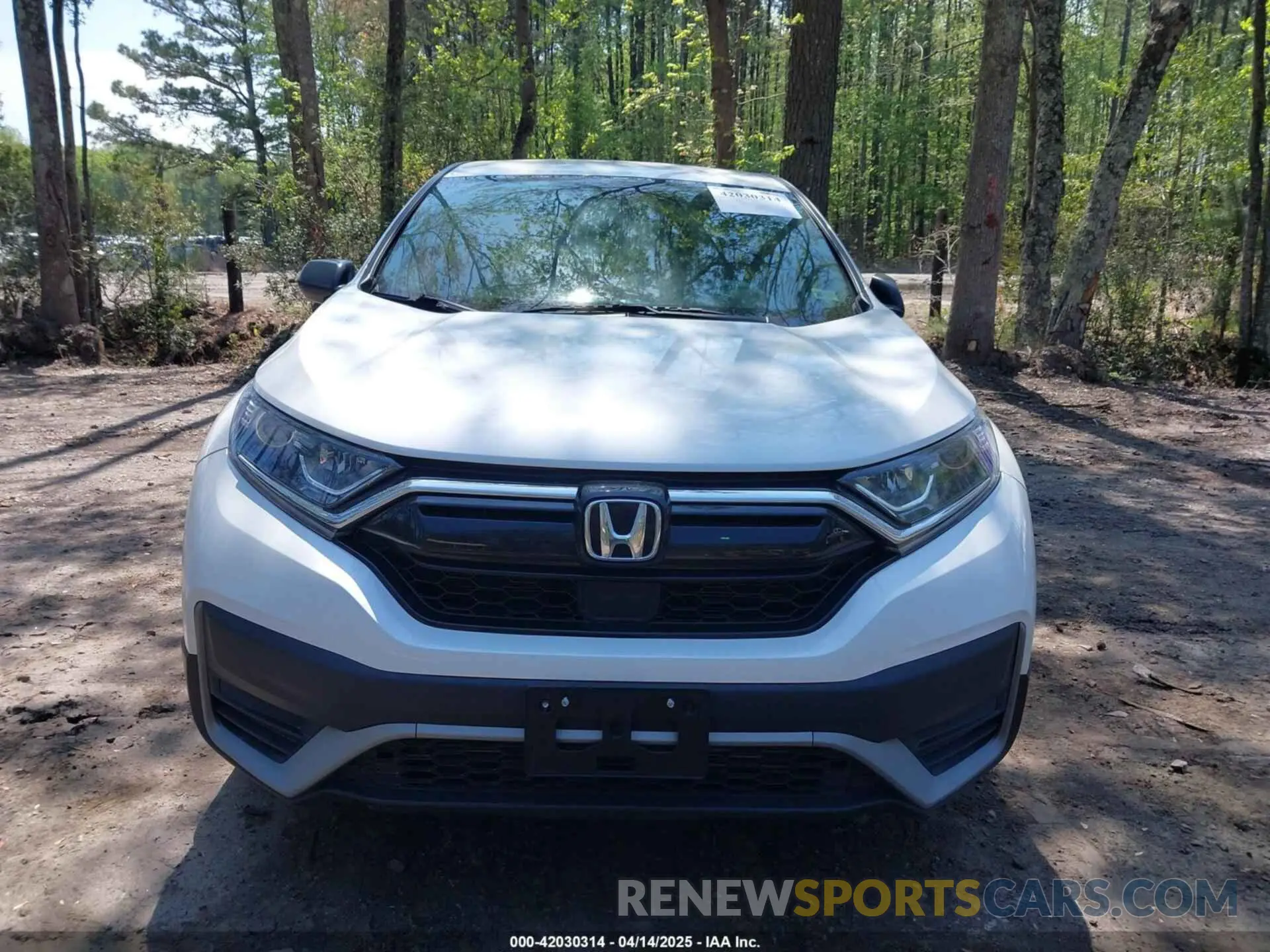 12 Photograph of a damaged car 5J6RW1H23MA000490 HONDA CR-V 2021