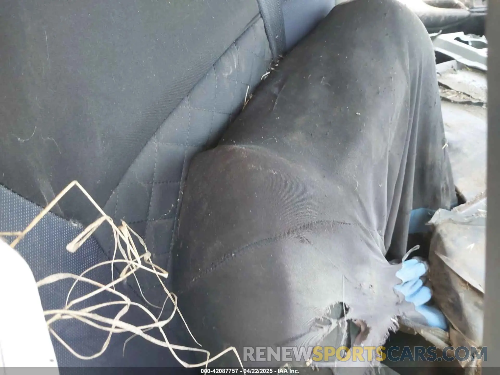 8 Photograph of a damaged car 5J6RW1H55MA011324 HONDA CR-V 2021
