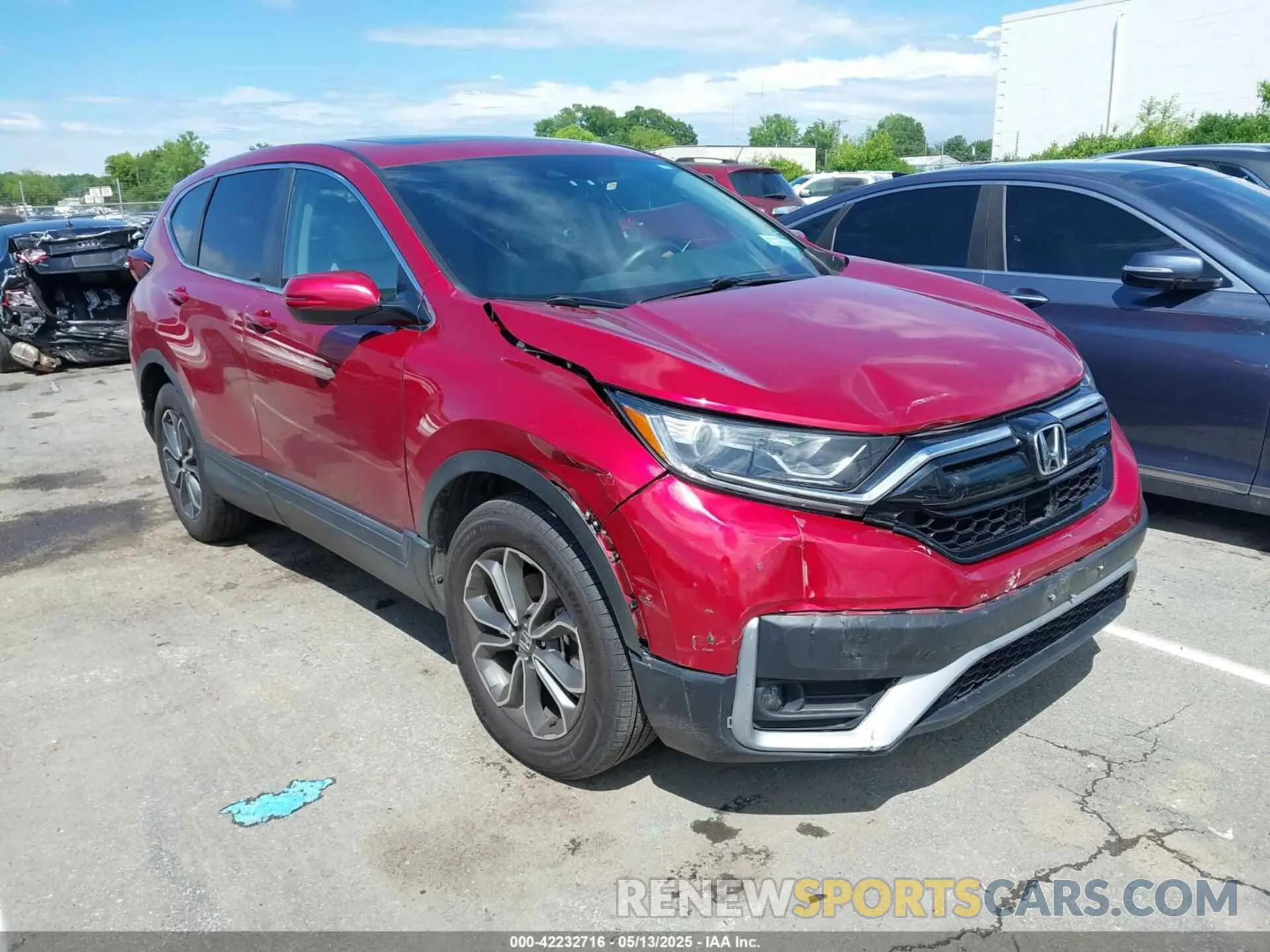 1 Фотография поврежденного автомобиля 5J6RW2H86MA003121 HONDA CR-V 2021