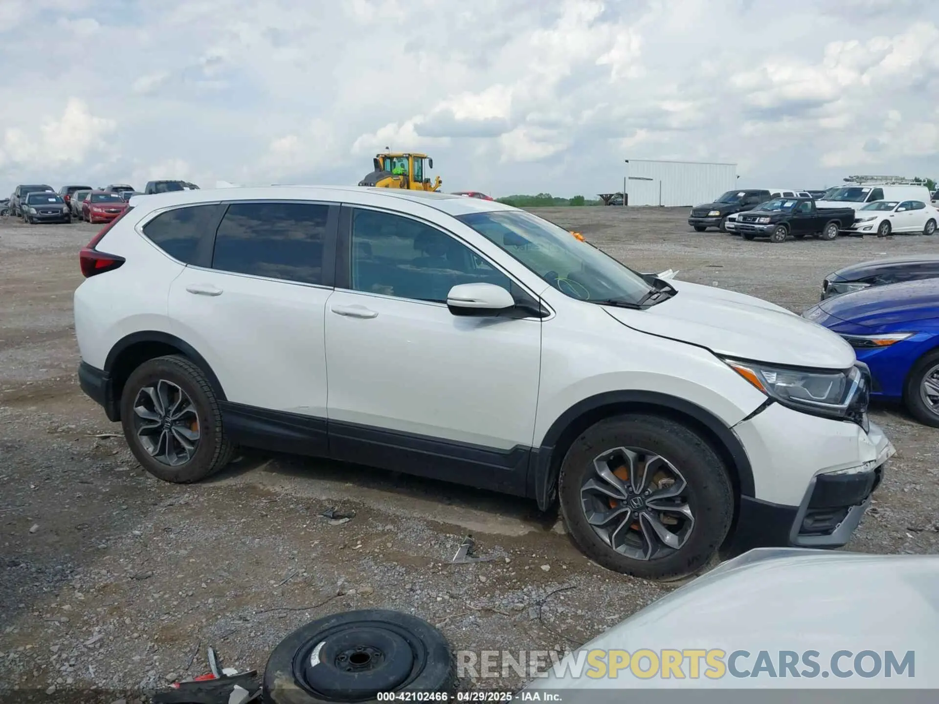 12 Photograph of a damaged car 5J6RW2H88ML010284 HONDA CR-V 2021