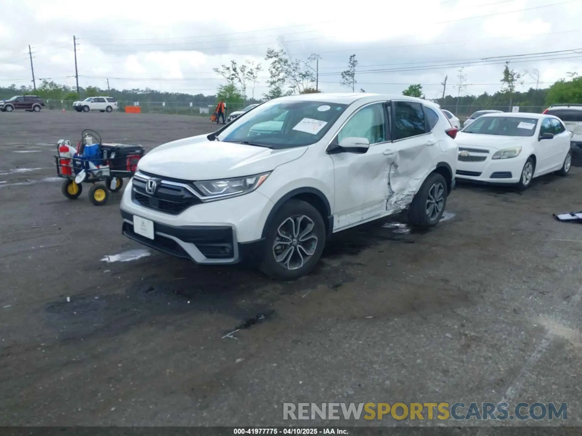 2 Фотография поврежденного автомобиля 5J6RW2H89ML008091 HONDA CR-V 2021