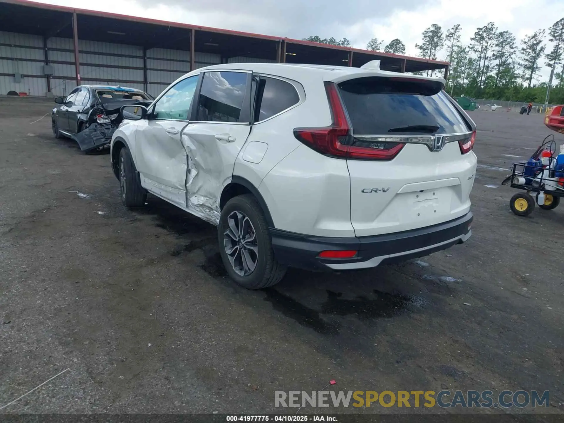 3 Фотография поврежденного автомобиля 5J6RW2H89ML008091 HONDA CR-V 2021