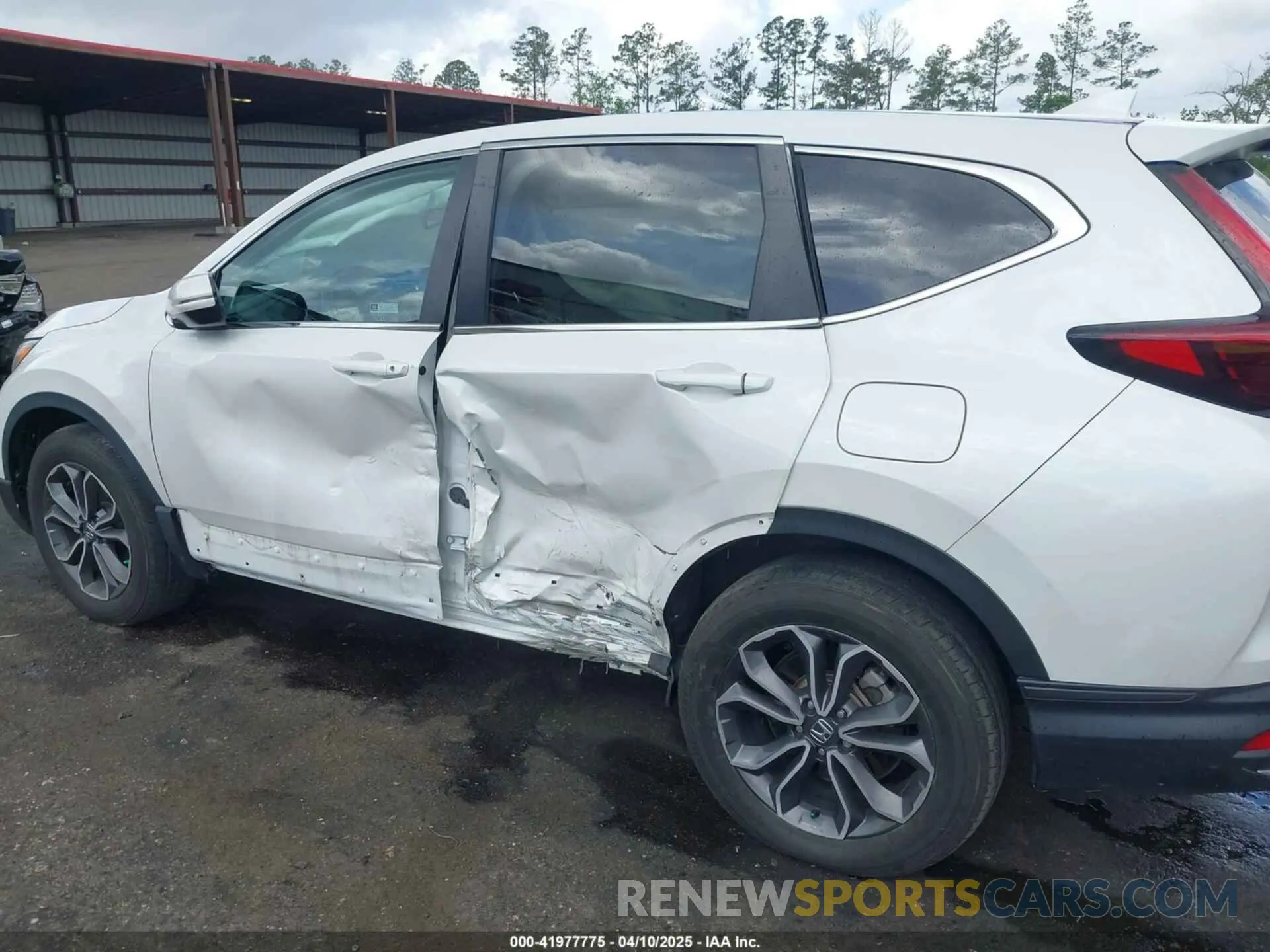 6 Фотография поврежденного автомобиля 5J6RW2H89ML008091 HONDA CR-V 2021