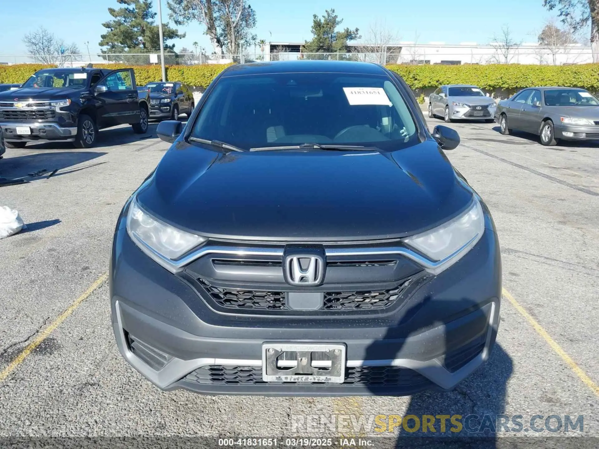 12 Photograph of a damaged car 7FARW1H76ME016955 HONDA CR-V 2021